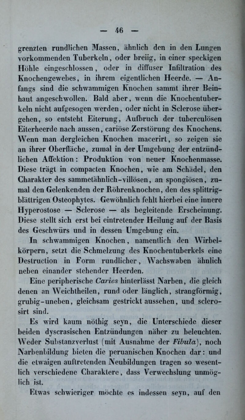 grenzten rundlichen Massen, ähnlich den in den Lungen vorkommenden Tuberkeln, oder breiig, in einer speckigen Höhle eingeschlossen, oder in diffuser Infiltration des Knochengewebes, in ihrem eigentlichen Heerde. — An- fangs sind die schwammigen Knochen sammt ihrer Bein- haut angeschwollen. Bald aber, wenn die Knochentuber- keln nicht aufgesogen werden, oder nicht in Sclerose über- gehen, so entsteht Eiterung, Aufbruch der tuberculösen Eiterheerde nach aussen, cariöse Zerstörung des Knochens. Wenn man dergleichen Knochen macerirt, so zeigen sie an ihrer Oberfläche, zumal in der Umgehung der entzünd- lichen Affektion: Produktion von neuer Knochenmasse. Diese trägt in compacten Knochen, wie am Schädel, den Charakter des sammetähnlich-villösen, an spongiösen, zu- mal den Gelenkenden der Röhrenknochen, den des splittrig- blättrigen Osteophytes. Gewöhnlich fehlt hierbei eine innere Hyperostose — Sclerose — als begleitende Erscheinung. Diese stellt sich erst bei eintretender Heilung auf der Basis des Geschwürs und in dessen Umgehung ein. In schwammigen Knochen, namentlich den Wirbel- körpern, setzt die Schmelzung des Knochentuherkels eine Destruction in Form rundlicher, Wachswaben ähnlich neben einander stehender Heerden. Eine peripherische Caries hinterlässt Narben, die gleich denen an Weichtheilen, rund oder länglich, strangförmig, gruhig-uneben, gleichsam gestrickt aussehen, und sclero- sirt sind. Es wird kaum nöthig seyn, die Unterschiede dieser beiden dyscrasischen Entzündungen näher zu beleuchten. Weder Substanzverlust (mit Ausnahme der Fibula), noch Narbenbildung bieten die peruanischen Knochen dar: und die etwaigen auftretenden Neubildungen tragen so wesent- lich verschiedene Charaktere, dass Verwechslung unmög- lich ist. Etwas schwieriger möchte es indessen seyn, auf den