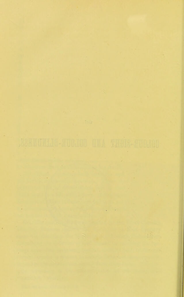 digitised image 2