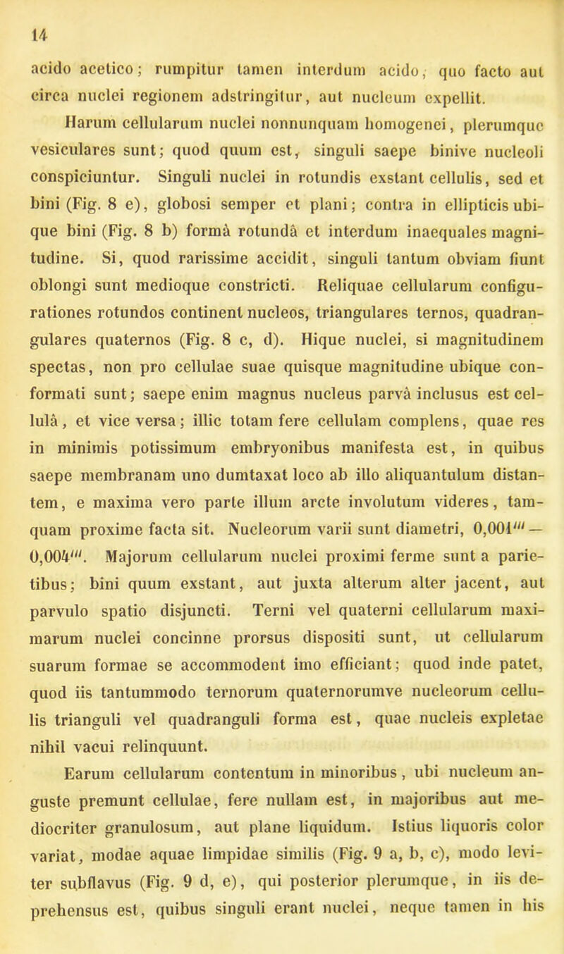 M acido acelico; rumpitur tamen interdum acido, quo facto aut circa nuclei regionem adstringitur, aut nucleum expellit. Harum cellularum nuclei nonnunquam homogenei, plerumque vesiculares sunt; quod quum est, singuli saepe binive nucleoli conspiciuntur. Singuli nuclei in rotundis exstant cellulis, sed et bini (Fig. 8 e), globosi semper et plani; contra in ellipticis ubi- que bini (Fig. 8 b) forma rotunda et interdum inaequales magni- tudine. Si, quod rarissime accidit, singuli tantum obviam fiunt oblongi sunt medioque constricti. Reliquae cellularum configu- rationes rotundos continent nucleos, triangulares ternos, quadran- gulares quaternos (Fig. 8 c, d). Hique nuclei, si magnitudinem spectas, non pro cellulae suae quisque magnitudine ubique con- formati sunt; saepe enim magnus nucleus parva inclusus est cel- lula, et vice versa; illic totam fere cellulam complens, quae res in minimis potissimum embryonibus manifesta est, in quibus saepe membranam uno dumtaxat loco ab illo aliquantulum distan- tem, e maxima vero parte illum arcte involutum videres, tam- quam proxime facta sit. Nucleorum varii sunt diametri, 0,001' — 0,004'. Majorum cellularum nuclei proximi ferme sunt a parie- tibus; bini quum exstant, aut juxta alterum alter jacent, aut parvulo spatio disjuncti. Terni vel quaterni cellularum maxi- marum nuclei concinne prorsus dispositi sunt, ut cellularum suarum formae se accommodent imo efficiant; quod inde patet, quod iis tantummodo ternorum quaternorumve nucleorum cellu- lis trianguli vel quadranguli forma est, quae nucleis expletae nihil vacui relinquunt. Earum cellularum contentum in minoribus, ubi nucleum an- guste premunt cellulae, fere nullam est, in majoribus aut me- diocriter granulosum, aut plane liquidum. Istius liquoris color variat, modae aquae limpidae similis (Fig. 9 a, b, c), modo levi- ter subflavus (Fig. 9 d, e), qui posterior plerumque, in iis de- prehensus est, quibus singuli erant nuclei, neque tamen in his
