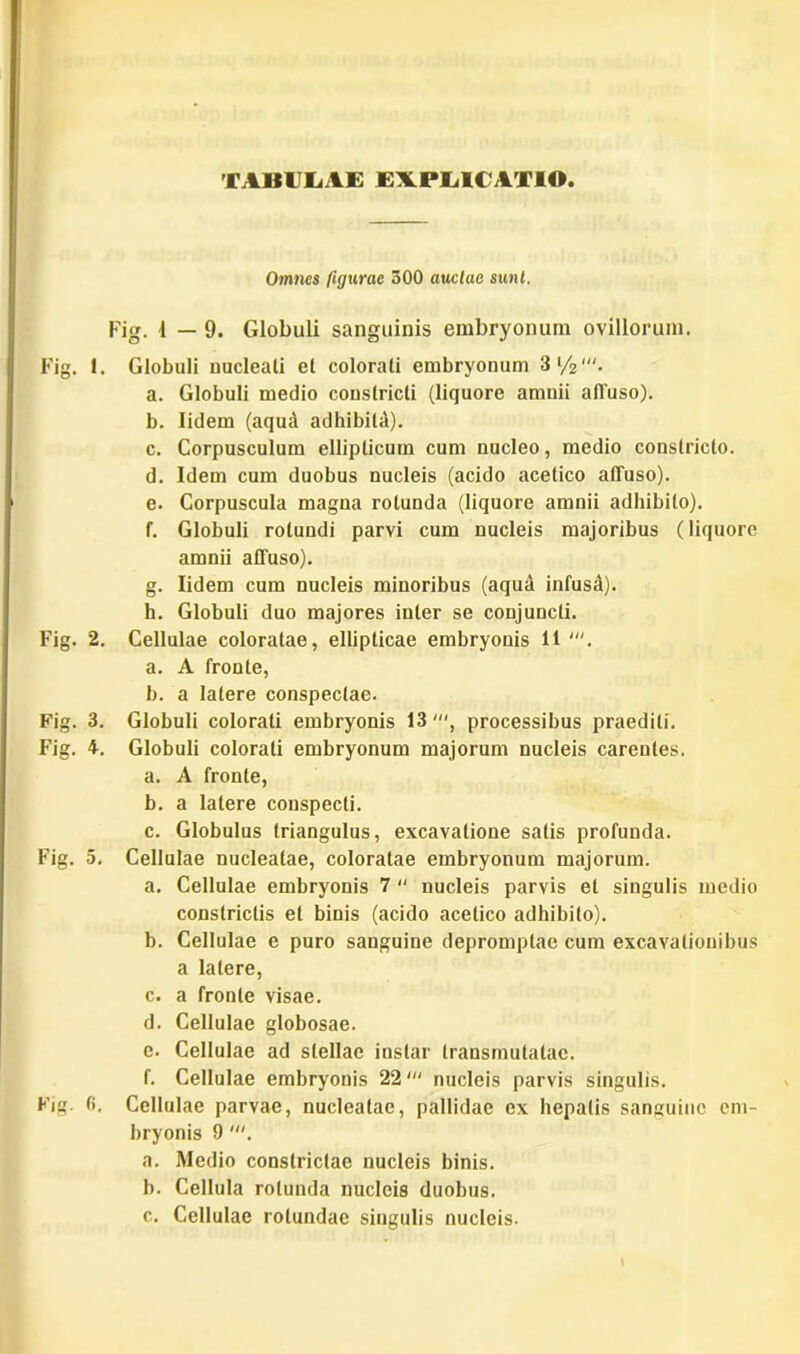 TABULAE EXPLICATIO Omnes figurae 300 auctae sunt. Fig. i — 9. Globuli sanguinis embryonum ovillorum. Fig. I. Globuli nucleali et colorati embryonum 3l/2'. a. Globuli medio constricti (liquore amnii affuso). b. lidem (aqua adhibiti). c. Corpusculum ellipticum cum nucleo, medio constricto. d. Idem cum duobus nucleis (acido acelico affuso). e. Corpuscula magna rotunda (liquore amnii adhibito). f. Globuli rotundi parvi cum nucleis majoribus (liquore amnii affuso). g. lidem cum nucleis minoribus (aqui infusi). h. Globuli duo majores inter se conjuncti. Fig. 2. Cellulae coloratae, ellipticae embryonis 11 a. A fronte, b. a latere conspectae. Fig. 3. Globuli colorati embryonis 13 processibus praediti. Fig. 4. Globuli colorati embryonum majorum nucleis carentes. a. A fronte, b. a latere conspecti. c. Globulus triangulus, excavatione salis profunda. Fig. 5. Cellulae nucleatae, coloratae embryonum majorum. a. Cellulae embryonis 7 nucleis parvis et singulis medio constrictis et binis (acido acetico adhibito). b. Cellulae e puro sanguine depromptae cum excavationibus a latere, c. a fronte visae. d. Cellulae globosae. e. Cellulae ad stellae instar Iransmulalac. f. Cellulae embryonis 22nucleis parvis singulis. Fig. fi. Cellulae parvae, nucleatae, pallidae ex hepatis sanguine em- bryonis 9 a. Medio constrictae nucleis binis. b. Cellula rotunda nucleis duobus. c. Cellulae rotundae singulis nucleis.