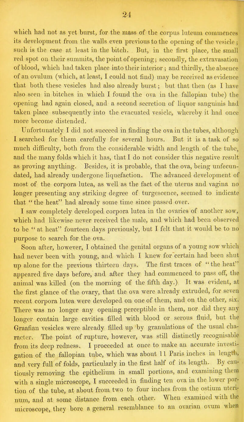 which had not as yet burst, for the mass of the corpus luteum commences its development from the walls even previous to the opening of the vesicle ; such is the case at least in the bitch. But, in the first place, the small red spot on their summits, the point of opening; secondly, the extravasation of blood, which had taken place into their interior; and thirdly, the absence of an ovulum (which, at least, I could not find) may be received as evidence that both these vesicles had also already burst; but that then (as I have also seen in bitches in which I found the ova in the fallopian tube) the opening had again closed, and a second secretion of liquor sanguinis had taken place subsequently into the evacuated vesicle, whereby it had once more become distended. Unfortunately I did not succeed in finding the ova in the tubes, although I searched for them carefully for several hours. But it is a task of so much difficulty, both from the considerable width and length of the tube, and the many folds which it has, that I do not consider this negative result as proving anything. Besides, it is probable, that the ova, being unfecun- dated, had already undergone liquefaction. The advanced development of most of the corpora lutea, as well as the fact of the uterus and vagina no longer presenting any striking degree of turgescence, seemed to indicate that “the heat” had already some time since passed over. I saw completely developed corpora lutea in the ovaries of another sow, which had likewise never received the male, and which had been observed to be “ at heat” fourteen days previously, but I felt that it would be to no purpose to search for the ova. Soon after, however, I obtained the genital organs of a young sow which had never been with young, and which I knew for certain had been shut up alone for the previous thirteen days. The first traces of “the heat” appeared five days before, and after they had commenced to pass off, the animal was killed (on the morning of the fifth day.) It was evident, at the first glance of the ovary, that the ova were already extruded, for seven recent corpora lutea were developed on one of them, and on the other, six. There was no longer any opening perceptible in them, nor did they any longer contain large cavities filled with blood or serous fluid, but the Graafian vesicles were already filled up by granulations of the usual cha- racter. The point of rupture, however, was still distinctly recognisable from its deep redness. I proceeded at once to make an accurate investi- gation of the fallopian tube, which was about 11 Paris inches in length, and very full of folds, particularly in the first half of its length. By cau- tiously removing the epithelium in small portions, and examining them with a single microscope, I succeeded in finding ten ova in the lowei poi- tion of the tube, at about from two to four inches from the ostium uteri- num, and at some distance from each other. When examined with the microscope, they bore a general resemblance to an o\ arian o\ um when