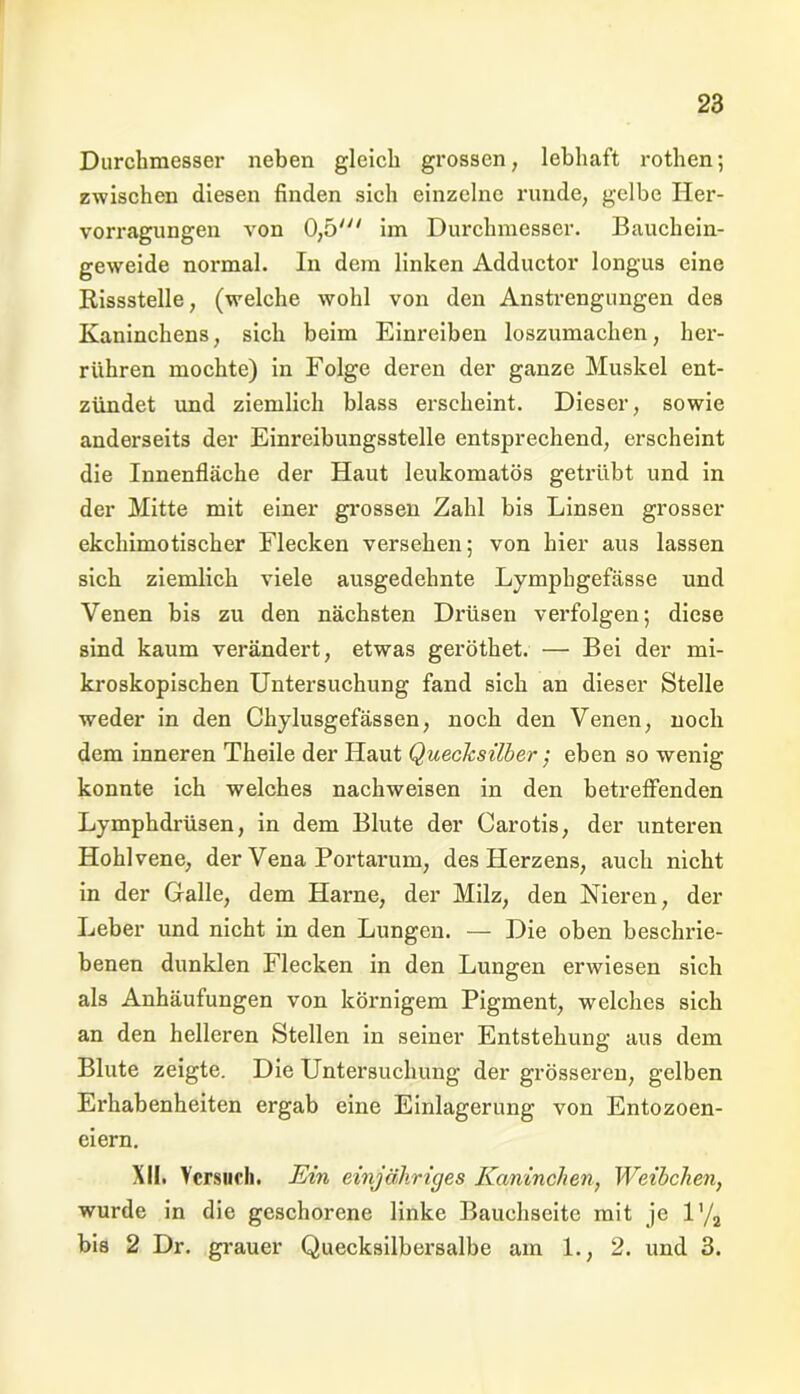Durchmesser neben gleich grossen, lebhaft rothen; zwischen diesen finden sich einzelne runde, gelbe Her- vorragungen von 0,5' im Durchmesser. Bauchein- geweide normal. In dem linken Adductor longus eine Rissstelle, (welche wohl von den Anstrengungen des Kaninchens, sich beim Einreiben loszumachen, her- rühren mochte) in Folge deren der ganze Muskel ent- zündet und ziemlich blass erscheint. Dieser, sowie anderseits der Einreibungsstelle entsprechend, erscheint die Innenfläche der Haut leukomatös getrübt und in der Mitte mit einer grossen Zahl bis Linsen grosser ekchimotischer Flecken versehen; von hier aus lassen sich ziemlich viele ausgedehnte Lymphgefässe und Venen bis zu den nächsten Drüsen verfolgen; diese sind kaum verändert, etwas geröthet. — Bei der mi- kroskopischen Untersuchung fand sich an dieser Stelle weder in den Chylusgefässen, noch den Venen, noch dem inneren Theile der Haut Quecksilber; eben so wenig konnte ich welches nachweisen in den betreffenden Lymphdrüsen, in dem Blute der Carotis, der unteren Hohl vene, der Vena Portarum, des Herzens, auch nicht in der Galle, dem Harne, der Milz, den Nieren, der Leber und nicht in den Lungen. — Die oben beschrie- benen dunklen Flecken in den Lungen erwiesen sich als Anhäufungen von körnigem Pigment, welches sich an den helleren Stellen in seiner Entstehung; aus dem Blute zeigte. Die Untersuchung der grösseren, gelben Erhabenheiten ergab eine Einlagerung von Entozoen- eiern. XII. Versuch. Ein einjähriges Kaninchen, Weibchen, wurde in die geschorene linke Bauchseite mit je l’/2 bis 2 Dr. grauer Quecksilbersalbe am 1., 2. und 3.