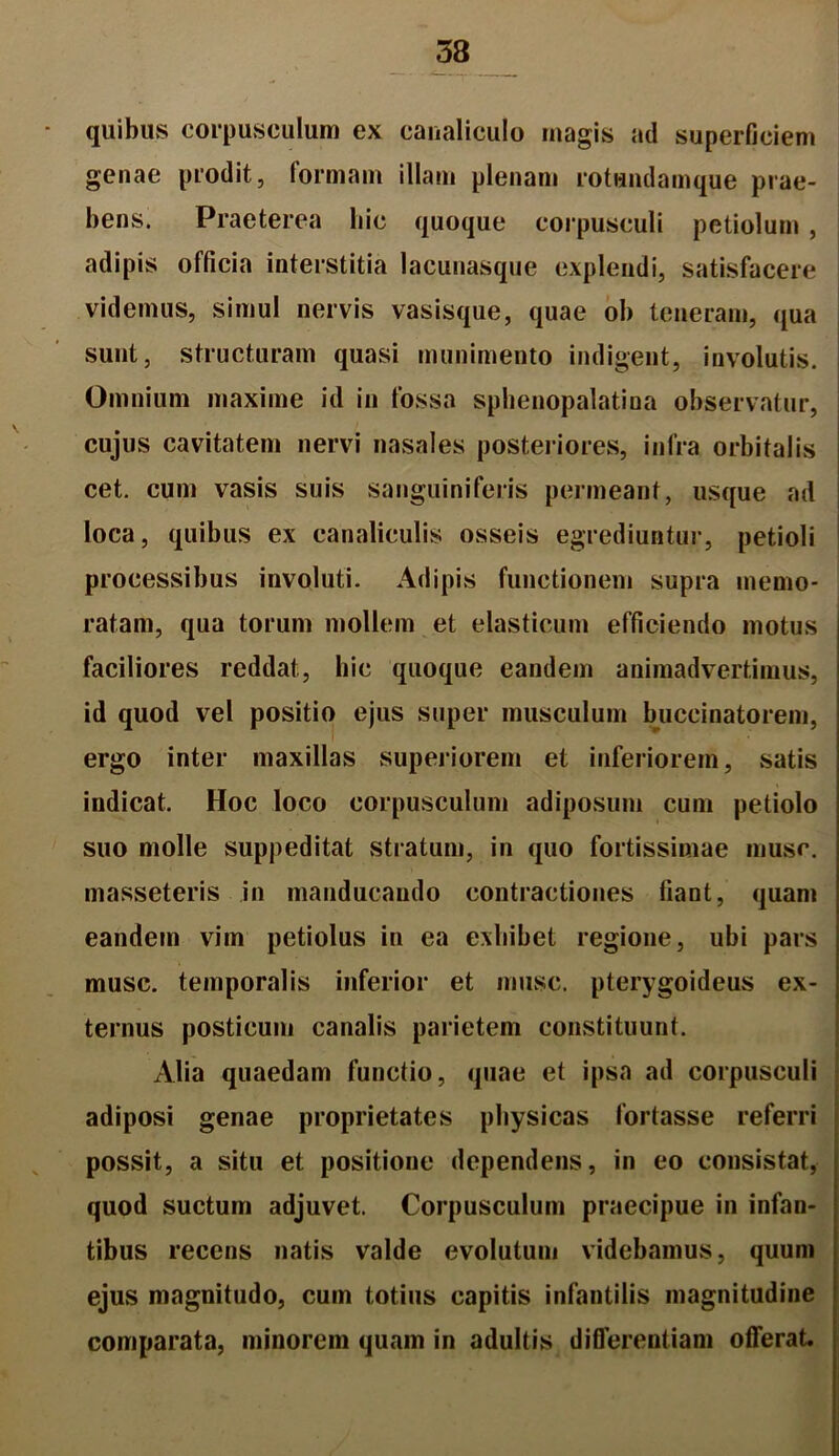 58 quibus corpusculum ex canaliculo magis ad superficiem genae prodit, formam illam plenam rotandamque prae- bens. Praeterea hic quoque corpusculi petiolum, adipis officia interstitia lacunasque explendi, satisfacere videmus, simul nervis vasisque, quae ob teneram, qua sunt, structuram quasi munimento indigent, involutis. Omnium maxime id in fossa sphenopalatina observatur, cujus cavitatem nervi nasales posteriores, infra orbitalis cet. cum vasis suis sanguiniferis permeant, usque ad loca, quibus ex canaliculis osseis egrediuntur, petioli processibus involuti. Adipis functionem supra memo- ratam, qua torum mollem et elasticum efficiendo motus faciliores reddat, hic quoque eandem animadvertimus, id quod vel positio ejus super musculum buccinatorem, ergo inter maxillas superiorem et inferiorem, satis indicat. Hoc loco corpusculum adiposum cum petiolo suo molle suppeditat stratum, in quo fortissimae musc. masseteris in manducando contractiones fiant, quam eandem vim petiolus in ea exhibet regione, ubi pars musc. temporalis inferior et musc. pterygoideus ex- ternus posticum canalis parietem constituunt. Alia quaedam functio, quae et ipsa ad corpusculi adiposi genae proprietates physicas fortasse referri possit, a situ et positione dependens, in eo consistat, quod suctum adjuvet. Corpusculum praecipue in infan- tibus recens natis valde evolutum videbamus, quum ejus magnitudo, cum totius capitis infantilis magnitudine comparata, minorem quam in adultis differentiam offerat.