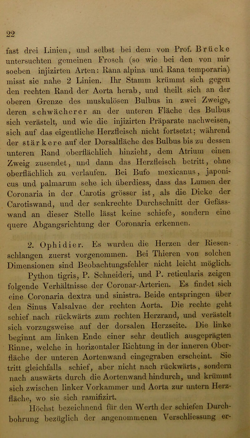 fast drei Linien, und selbst bei dem von Prof. Brücke untersuchten gemeinen Frosch (so wie bei den von mir soeben injizirten Arten: Rana alpina und Rana temporaria) misst sie nahe 2 Linien. Ihr Stamm krümmt sich gegen den rechten Rand der Aorta herab, und theilt sich an der oberen Grenze des muskulösen Bulbus in zwei Zweige, deren schwächerer an der unteren Fläche des Bulbus sich verästelt, und wie die injizirten Präparate nach weisen, sich auf das eigentliche Herzfleisch nicht fortsetzt: während der stär kere auf der Dorsalfläche des Bulbus bis zu dessen unteren Rand oberflächlich hinzieht, dem Atrium einen Zweig zusendet, und dann das Herzfleisch betritt, ohne oberflächlich zu verlaufen. Bei Bufo mexicanus, japoni- cus und palmarum sehe ich überdiess, dass das Lumen der Coronaria in der Carotis grösser ist, als die Dicke der Carotiswand, und der senkrechte Durchschnitt der Gefäss- wand an dieser Stelle lässt keine schiefe, sondern eine quere Abgangsrichtung der Coronaria erkennen. 2. Ophidier. Es wurden die Herzen der Riesen- schlangen zuerst vorgenommen. Bei Thieren von solchen Dimensionen sind Beobachtungsfehler nicht leicht möglich. Python tigris, P. Schneiden, und P. reticularis zeigen folgende Verhältnisse der Coronar-Arterien. Es findet sich eine Coronaria dextra und sinistra. Beide entspringen über den Sinus Valsalvae der rechten Aorta. Die rechte geht schief nach rückwärts zum rechten Herzrand, und verästelt sich vorzugsweise auf der dorsalen Herzseite. Die linke beginnt am linken Ende einer sehr deutlich ausgeprägten Rinne, welche in horizontaler Richtung in der inneren Ober- fläche der unteren Aortenwand eingegraben erscheint. Sie tritt gleichfalls schief, aber nicht nach rückwärts, sondern nach auswärts durch die Aortenwand hindurch, und krümmt sich zwischen linker Vorkammer und Aorta zur untern Herz- fläche, wo sie sich ramifizirt. Höchst bezeichnend für den Werth der schiefen Durch- bohrung bezüglich der angenommenen Versehliessung er-