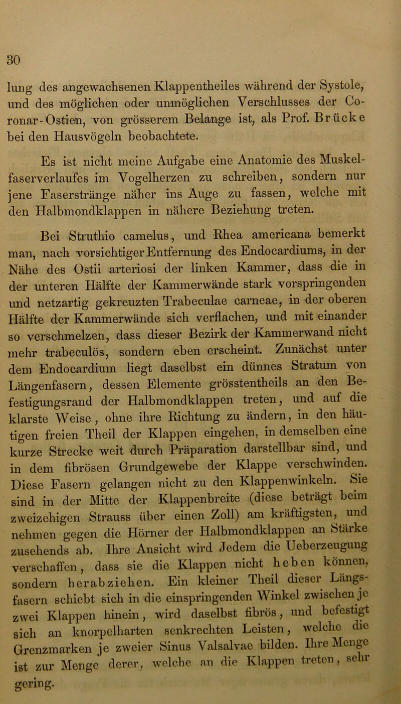 BO lung des angewachsenen Klappentheiles während der Systole, und des möglichen oder unmöglichen Verschlusses der Co- ronar-Ostien, von grösserem Belange ist, als Prof. Brücke bei den Hausvögeln beobachtete. Es ist nicht meine Aufgabe eine Anatomie des Muskel- faserverlaufes im Vogelherzen zu schreiben, sondern nur jene Faserstränge näher ins Auge zu fassen, welche mit den Halbmondklappen in nähere Beziehung treten. Bei Struthio camelus , und Rhea americana bemerkt man, nach vorsichtiger Entfernung des Endocardiums, in der Nähe des Ostii arteriosi der linken Kammer, dass die in der unteren Hälfte der Kammerwände stark vorspringenden und netzartig gekreuzten Trabeculae carneae, in der oberen Hälfte der Kammerwände sich verflachen, und mit einander so verschmelzen, dass dieser Bezirk der Kammerwand nicht mehr trabeculös, sondern eben erscheint. Zunächst unter dem Endocardium liegt daselbst ein dünnes Stratum von Längenfasern, dessen Elemente grösstentheils an den Be- festigungsrand der Halbmondklappen treten, und auf die klarste Weise, ohne ihre Richtung zu ändern, in den häu- tigen freien Theil der Klappen eingehen, in demselben eine kurze Strecke weit durch Präparation darstellbar sind, und in dem fibrösen Grundgewebe der Klappe verschwinden. Diese Fasern gelangen nicht zu den Klappenwinkeln. Sie sind in der Mitte der Klappenbreite (diese beträgt beim zweizeiligen Strauss über einen Zoll) am kräftigsten, und nehmen gegen die Hörner der Halbmondklappen an Stäike zusehends ab. Ihre Ansicht wird Jedem die Ueberzeugung verschaffen, dass sie die Klappen nicht heben können, sondern herab ziehen. Ein kleiner llieil dieser Längs- fasern schiebt sich in die ein springenden Winkel zwischen je zwei Klappen hinein, wird daselbst fibrös, und befestigt sich an knorpelharten senkrechten Leisten, welche die Grenzmarken je zweier Sinus Valsalvae bilden. Ihre Menge ist zur Menge derer, welche an die Klappen treten, sein- gering.