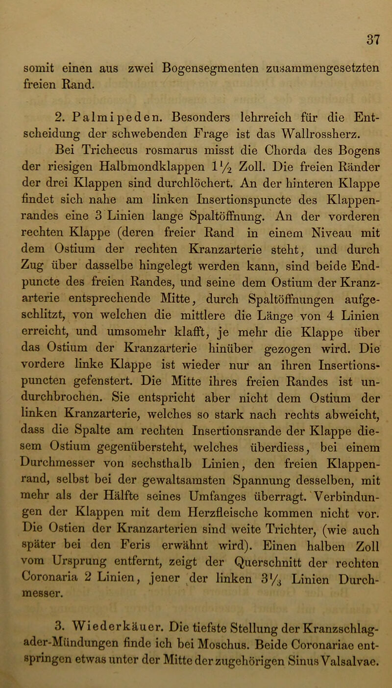 somit einen aus zwei Bogensegmenten zusammengesetzten freien Rand. 2. Palmipeden. Besonders lehrreich für die Ent- scheidung der schwebenden Frage ist das Wallrossherz. Bei Trichecus rosmarus misst die Chorda des Bogens der riesigen Halbmondklappen ll/2 Zoll. Die freien Ränder der drei Klappen sind durchlöchert. An der hinteren Klappe findet sich nahe am linken Insertionspuncte des Klappen- randes eine 3 Linien lange Spaltöffnung. An der vorderen rechten Klappe (deren freier Rand in einem Niveau mit dem Ostium der rechten Kranzarterie steht, und durch Zug über dasselbe hingelegt werden kann, sind beide End- puncte des freien Randes, und seine dem Ostium der Kranz- arterie entsprechende Mitte, durch Spaltöffnungen aufge- schlitzt, von welchen die mittlere die Länge von 4 Linien erreicht, und umsomehr klafft, je mehr die Klappe über das Ostium der Kranzarterie hinüber gezogen wird. Die vordere linke Klappe ist wieder nur an ihren Insertions- puncten gefenstert. Die Mitte ihres freien Randes ist un- durchbrochen. Sie entspricht aber nicht dem Ostium der linken Kranzarterie, welches so stark nach rechts abweicht, dass die Spalte am rechten Insertionsrande der Klappe die- sem Ostium gegenübersteht, welches überdiess, bei einem Durchmesser von sechsthalb Linien, den freien Klappen- rand, selbst bei der gewaltsamsten Spannung desselben, mit mehr als der Hälfte seines Umfanges überragt. Verbindun- gen der Klappen mit dem Herzfleische kommen nicht vor. Die Ostien der Kranzarterien sind weite Trichter, (wie auch später bei den Feris erwähnt wird). Einen halben Zoll vom Ursprung entfernt, zeigt der Querschnitt der rechten Coronaria 2 Linien, jener der linken Sl/6 Linien Durch- messer. 3. Wiederkäuer. Die tiefste Stellung der Kranzschlag- ader-Mündungen finde ich bei Moschus. Beide Coronariae ent- springen etwas unter der Mitte der zugehörigen Sinus Valsalvae.