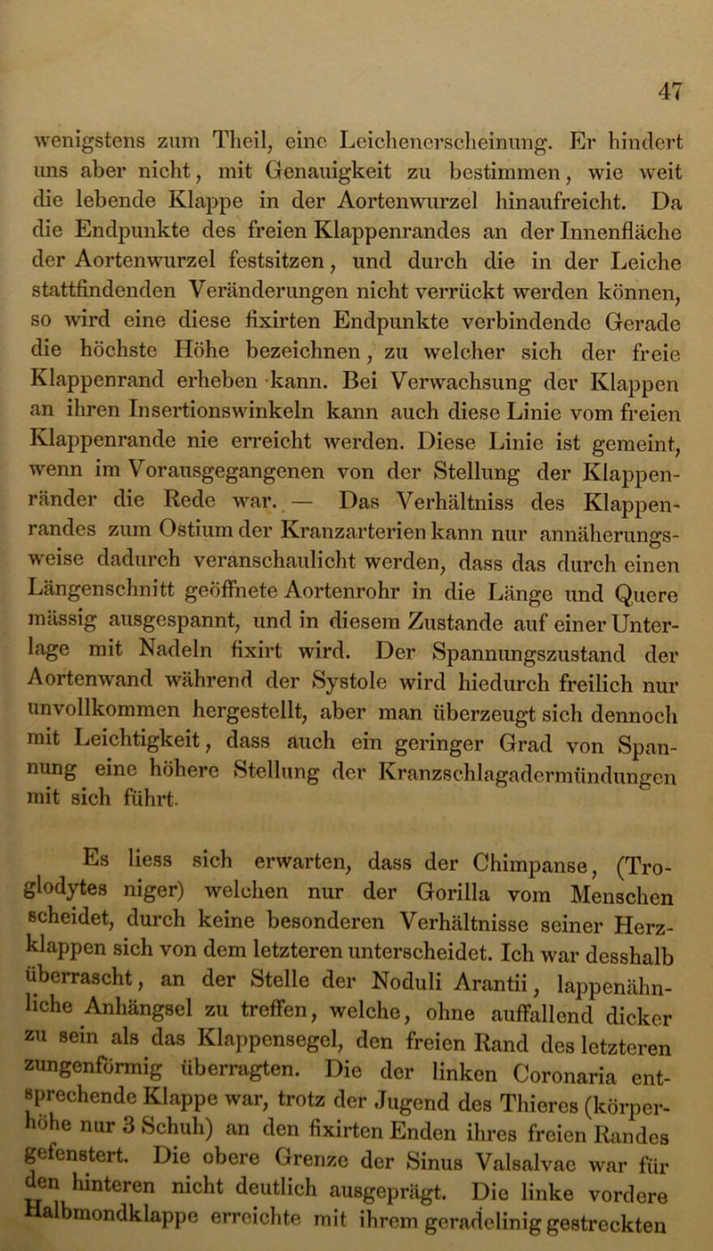 wenigstens zum Theil, eine Leichenerscheinung. Er hindert uns aber nicht, mit Genauigkeit zu bestimmen, wie weit die lebende Klappe in der Aortenwurzel hinaufreicht. Da die Endpunkte des freien Klappenrandes an der Innenfläche der Aortenwurzel festsitzen, und durch die in der Leiche stattfindenden Veränderungen nicht verrückt werden können, so wird eine diese fixirten Endpunkte verbindende Gerade die höchste Höhe bezeichnen, zu welcher sich der freie Klappenrand erheben kann. Bei Verwachsung dev Klappen an ihren Insertionswinkeln kann auch diese Linie vom freien Klappenrande nie erreicht werden. Diese Linie ist gemeint, wenn im Vorausgegangenen von der Stellung der Klappen- ränder die Rede war. — Das Verhältnis des Klappen- randes zum Ostium der Kranzarterien kann nur annäherungs- weise dadurch veranschaulicht werden, dass das durch einen Längenschnitt geöffnete Aortenrohr in die Länge und Quere massig ausgespannt, und in diesem Zustande auf einer Unter- lage mit Nadeln fixirt wird. Der Spannungszustand der Aortenwand während der Systole wird hiedurch freilich nur unvollkommen hergestellt, aber man überzeugt sich dennoch mit Leichtigkeit, dass auch ein geringer Grad von Span- nung eine höhere Stellung der Kranzschlagadermündungen mit sich führt. Es liess sich erwarten, dass der Chimpanse, (Tro- glodytes niger) welchen nur der Gorilla vom Menschen scheidet, durch keine besonderen Verhältnisse seiner Herz- klappen sich von dem letzteren unterscheidet. Ich war desshalb überrascht, an der Stelle der Noduli Arantii, lappenähn- hche Anhängsel zu treffen, welche, ohne auffallend dicker zu sein als das Klappensegel, den freien Rand des letzteren zungenförmig überragten. Die der linken Coronaria ent- sprechende Klappe war, trotz der Jugend des Thieres (körper- hohe nur 3 Schuh) an den fixirten Enden ihres freien Randes gefenstert. Die obere Grenze der Sinus Valsalvae war für den hinteren nicht deutlich ausgeprägt. Die linke vordere a bmondklappe erreichte mit ihrem geradelinig gestreckten