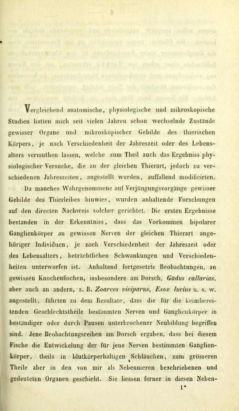 Vergleichend anatomische, physiologische und mikroskopische Studien hatten mich seit vielen Jahren schon wechselnde Zustände gewisser Organe und mikroskopischer Gebilde des thierischen Körpers, je nach Verschiedenheit der Jahreszeit oder des Lebens- alters vermuthen lassen, welche zum Theil auch das Ergebniss phy- siologischer Versuche, die an der gleichen Thierart, jedoch zu ver- schiedenen Jahreszeiten, nngestelll wurden, auffallend modificirten. Da manches Wahrgenommene auf Verjüngungsvorgänge gewisser Gebilde des Thierleibes hinwies, wurden anhaltende Forschungen auf den directen Nachweis solcher gerichtet. Die ersten Ergebnisse bestanden in der Erkennlniss, dass das Vorkommen bipolarer Ganglienkörper an gewissen Nerven der gleichen Thierart ange- höriger Individuen, je nach Verschiedenheit der Jahreszeit oder des Lebensalters, beträchtlichen Schwankungen und Verschieden- heiten unterworfen ist. Anhaltend fortgesetzte Beobachtungen, an gewissen Knochenfischen, insbesondere am Dorsch, Gadus callarias, aber auch an andern, z. B. Zoarces viviparus, Esox lucius u. s. w. angestellt, führten zu dem Resultate, dass die für die keimberei- tenden Geschlechtstheile bestimmten Nerven und Ganglienkörper in beständiger oder durch Pausen unterbrochener Neubildung begriffen sind. Jene Beobachlungsreihen am Dorsch ergaben, dass bei diesem Fische die Entwickelung der für jene Nerven bestimmten Ganglien- körper, theils in blutkörperhalligen ^Schläuchen, zum grösseren Theile aber in den von mir als Nebennieren beschriebenen und gedeuteten Organen geschieht. Sie liessen ferner in diesen Neben- 1*