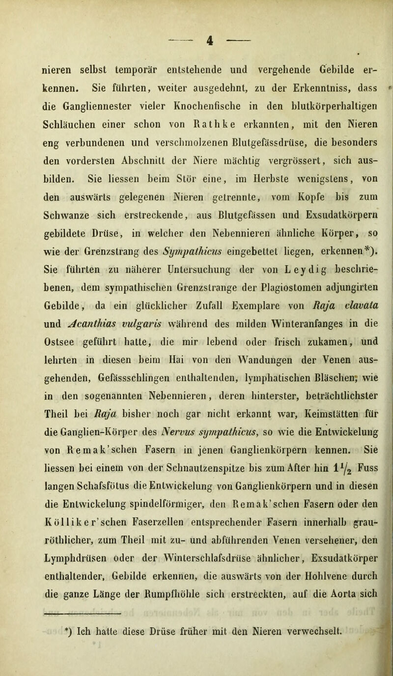 nieren selbst temporär entstehende und vergehende Gebilde er- kennen. Sie führten, weiter ausgedehnt, zu der Erkennlniss, dass ' die Gangliennester vieler Knochenfische in den blutkörperhaltigen Schläuchen einer schon von Rathke erkannten, mit den Nieren eng verbundenen und verschmolzenen Blutgefässdrüse, die besonders den vordersten Abschnitt der Niere mächtig vergrössert, sich aus- bilden. Sie Hessen heim Stör eine, im Herbste wenigstens, von den auswärts gelegenen Nieren getrennte, vom Kopfe bis zum Schwänze sich erstreckende, aus Blutgefässen und Exsudatkörpern gebildete Drüse, in welcher den Nebennieren ähnliche Körper, so wie der Grenzstrang des Sympathicus eingebettet liegen, erkennen*). Sie führten zu näherer Untersuchung der von Leydig beschrie- benen, dem sympathischen Grenzstrange der Plagiostomen adjungirten Gebilde, da ein glücklicher Zufall Exemplare von Raja clavala und Acanthias vulgaris während des milden Winteranfanges in die ! Ostsee geführt hatte, die mir lebend oder frisch zukamen, und lehrten in diesen beim Hai von den Wandungen der Venen aus- gehenden, Gefässschlingen enthaltenden, lymphatischen Bläschen, wie in den sogenannten Nebennieren, deren hinterster, beträchtlichster Theil bei Raja bisher noch gar nicht erkannt war, Keimstätten für die Ganglien-Körper des Nervus syjnpathicus, so wie die Entwickelung von Remak’schen Fasern in jenen Ganglienkörpern kennen. Sie Hessen bei einem von der Schnautzenspitze bis zum After hin 1 lj2 Fuss langen Schafsfötus die Entwickelung von Ganglienkörpern und in diesen die Entwickelung spindelförmiger, den Remak’schen Fasern oder den K öl liker’sehen Faserzellen entsprechender Fasern innerhalb grau- röthlicher, zum Theil mit zu- und abführenden Venen versehener, den Lymphdrüsen oder der Winterschlafsdrüse ähnlicher, Exsudatkörper enthaltender, Gebilde erkennen, die auswärts von der Hohlvene durch die ganze Länge der Rumpfhöhle sich erstreckten, auf die Aorta sich *) Ich hatte diese Drüse früher mit den Nieren verwechselt.