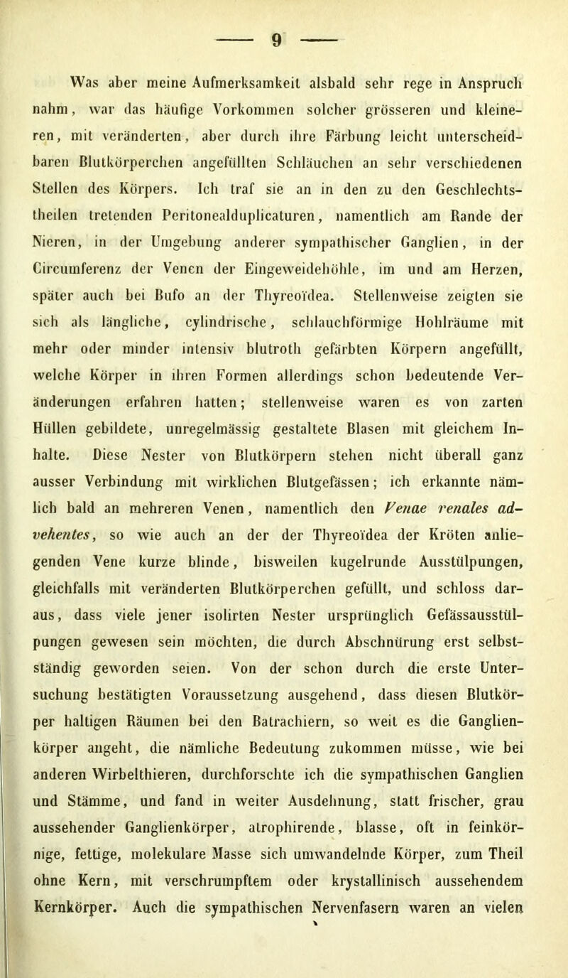 Was aber meine Aufmerksamkeit alsbald sehr rege in Anspruch nahm, war das häufige Vorkommen solcher grösseren und kleine- ren, mit veränderten, aber durch ihre Färbung leicht unterscheid- baren Blutkörperchen angefüllten Schläuchen an sehr verschiedenen Stellen des Körpers. Ich traf sie an in den zu den Geschlechts- theilen tretenden Pcritonenlduplicaturen, namentlich am Rande der Nieren, in der Umgebung anderer sympathischer Ganglien, in der Circutnferenz der Venen der Eingeweidehöhle, im und am Herzen, später auch bei Bufo an der Thyreoidea. Stellenweise zeigten sie sich als längliche, cylindrische, schlauchförmige Hohlräume mit mehr oder minder intensiv blutroth gefärbten Körpern angefüllt, welche Körper in ihren Formen allerdings schon bedeutende Ver- änderungen erfahren hatten; stellenweise waren es von zarten Hüllen gebildete, unregelmässig gestaltete Blasen mit gleichem In- halte. Diese Nester von Blutkörpern stehen nicht überall ganz ausser Verbindung mit wirklichen Blutgefässen; ich erkannte näm- lich bald an mehreren Venen, namentlich den Venae renales ad- vehentes, so wie auch an der der Thyreoidea der Kröten anlie- genden Vene kurze blinde, bisweilen kugelrunde Ausstülpungen, gleichfalls mit veränderten Blutkörperchen gefüllt, und schloss dar- aus , dass viele jener isolirten Nester ursprünglich Gefässausstül- pungen gewesen sein möchten, die durch Abschnürung erst selbst- ständig geworden seien. Von der schon durch die erste Unter- suchung bestätigten Voraussetzung ausgehend, dass diesen Blutkör- per haltigen Räumen bei den Balrachiern, so weit es die Ganglien- körper angeht, die nämliche Bedeutung zukommen müsse, wie bei anderen Wirbelthieren, durchforschte ich die sympathischen Ganglien und Stämme, und fand in weiter Ausdehnung, statt frischer, grau aussehender Ganglienkörper, atrophirende, blasse, oft in feinkör- nige, fettige, molekulare Masse sich umwandelnde Körper, zum Theil ohne Kern, mit verschrumpftem oder krystallinisch aussehendem Kernkörper. Auch die sympathischen Nervenfasern waren an vielen