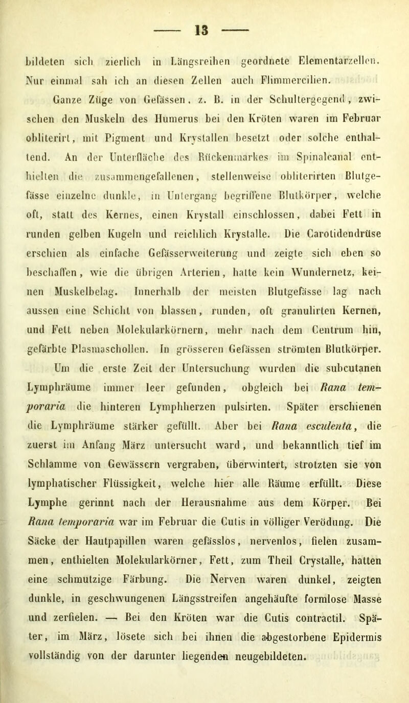 bildeten sich zierlich in Längsreihen geordnete Elementarzellen. Nur einmal sah ich an diesen Zellen auch Flimmercilien. Ganze Züge von Gefässen. z. 15. in der Schultergegend , zwi- schen den Muskeln des Humerus bei den Kröten waren im Februar obliterirl, mit Pigment und Ivrystallen besetzt oder solche enthal- tend. An der Unlerfläche des Rückenmarkes im Spinalcanal ent- hielten die zusammengefallenen, stellenweise obliterirten Blutge- fässe einzelne dunkle, in Untergang begriffene Blulkörper, welche oft, statt des Kernes, einen Krystall einschlossen, dabei Fett in runden gelben Kugeln und reichlich Krystalle. Die Carolidendrüse erschien als einfache Gefässerweilerung und zeigte sich eben so beschaffen, wie die übrigen Arterien, hatte kein Wundernetz, kei- nen Muskelbelag. Innerhalb der meisten Blutgefässe lag nach aussen eine Schicht von blassen, runden, oft granulirten Kernen, und Fett neben Molekularkörnern, mehr nach dem Centrum hin, gefärbte Plasmaschollen. In grösseren Gefässen strömten Blutkörper. Um die erste Zeit der Untersuchung wurden die subcutanen Lymphräume immer leer gefunden, obgleich bei Rana tem- poraria die hinteren Lymphherzen pulsirten. Später erschienen die Lymphräume stärker gefüllt. Aber bei Rana csculenta, die zuerst im Anfang März untersucht ward, und bekanntlich tief im Schlamme von Gewässern vergraben, überwintert, strotzten sie von lymphatischer Flüssigkeit, welche hier alle Räume erfüllt. Diese Lymphe gerinnt nach der Herausnahme aus dem Körper. Bei Rana temporaria war im Februar die Cutis in völliger Verödung. Die Säcke der Hautpapillen waren gefässlos, nervenlos, fielen zusam- men, enthielten Molekularkörner, Fett, zum Theil Crystalle, hatten eine schmutzige Färbung. Die Nerven waren dunkel, zeigten dunkle, in geschwungenen Längsstreifen angehäufte formlose Masse und zerfielen. — Bei den Kröten war die Cutis contractil. Spä- ter, im März, lösete sich bei ihnen die abgestorbene Epidermis vollständig von der darunter liegende« neugebildeten.