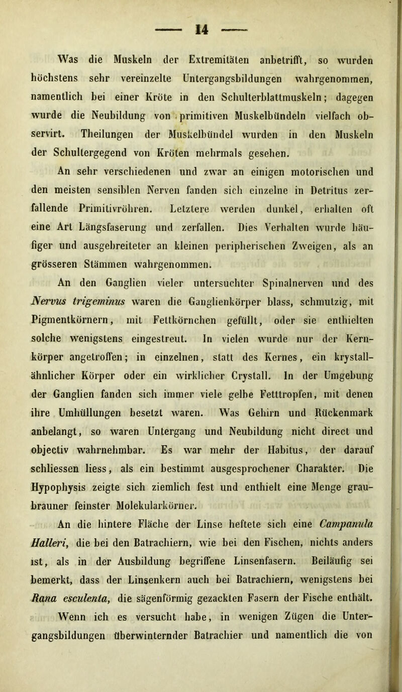 Was die Muskeln der Extremitäten anbetrifft, so wurden höchstens sehr vereinzelte Untergangsbildungen wahrgenonimen, namentlich bei einer Kröte in den Schulterblattmuskeln; dagegen wurde die Neubildung von primitiven Muskelbündeln vielfach ob- servirt. Theilungen der Muskelbündel wurden in den Muskeln der Schultergegend von Kröten mehrmals gesehen. An sehr verschiedenen und zwar an einigen motorischen und den meisten sensiblen Nerven fanden sich einzelne in Detritus zer- fallende Primitivröhren. Letztere werden dunkel, erhalten oft eine Art Längsfaserung und zerfallen. Dies Verhalten wurde häu- figer und ausgebreiteter an kleinen peripherischen Zweigen, als an grösseren Stämmen wahrgenommen. An den Ganglien vieler untersuchter Spinalnerven und des Nervus trigeminus waren die Ganglienkörper blass, schmutzig, mit Pigmenlkörnern, mit Feltkörnchen gefüllt, oder sie enthielten solche wenigstens eingestreut, ln vielen wurde nur der Kern- körper angeLroffen; in einzelnen, statt des Kernes, ein kristall- ähnlicher Körper oder ein wirklicher Crystall. ln der Umgebung der Ganglien fanden sich immer viele gelbe Fetttropfen, mit denen ihre Umhüllungen besetzt waren. Was Gehirn und Rückenmark anbelangt, so waren Untergang und Neubildung nicht direct und objectiv wahrnehmbar. Es war mehr der Habitus, der darauf schliessen liess, als ein bestimmt ausgesprochener Charakter. Die Hypophysis zeigte sich ziemlich fest und enthielt eine Menge grau- brauner feinster Molekularkörner. An die hintere Fläche der Linse heftete sich eine Campanula Halleri, die bei den Batrachiern, wie bei den Fischen, nichts anders ist, als in der Ausbildung begriffene Linsenfasern. Beiläufig sei bemerkt, dass der Linsenkern auch bei Batrachiern, wenigstens bei Rana esculenta, die sägenförmig gezackten Fasern der Fische enthält. Wenn ich es versucht habe, in wenigen Zügen die Unter- gangsbildungen überwinternder Batrachier und namentlich die von