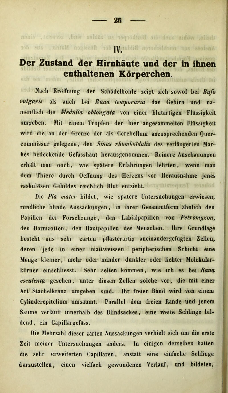 IV. Der Zustand der Hirnhäute und der in ihnen enthaltenen Körperchen. Nach Eröffnung der Schädelhöhle zeigt sich sowol hei Bufo vulgaris als auch bei Rana temporaria das Gehirn und na- mentlich die Medulla oblongata von einer blutartigen Flüssigkeit umgeben. Mit einem Tropfen der hier angesammelten Flüssigkeit wird die an der Grenze der als Cerebellum anzusprechenden Quer- commissur gelegene, den Sinus rhombo'idalis des verlängerten Mar- kes bedeckende Gefässhaut herausgenommen. Reinere Anschauungen erhält man noch, wie spätere Erfahrungen lehrten, wenn man dem Thiere durch Oeffnung des Herzens vor Herausnahme jenes vaskulösen Gebildes reichlich Blut entzieht. Die Pia mater bildet, wie spätere Untersuchungen erwiesen, rundliche blinde Aussackungen, in ihrer Gesammtform ähnlich den Papillen der Forschzunge, den Labialpapillen von Petromyzon, den Darmzotten, den Hautpapillen des Menschen. Ihre Grundlage besteht aus sehr zarten pflasterartig aneinandergefügten Zellen, deren jede in einer mattweissen peripherischen Schicht eine Menge kleiner, mehr oder minder dunkler oder lichter Molekular- körner einschliesst. Sehr selten kommen, wie ich es bei Rana esculenta gesehen, unter diesen Zellen solche vor, die mit einer Art Stachelkranz umgeben sind. Ihr freier Rand wird von einem Cylinderepitelium umsäumt. Parallel dem freien Rande und jenem Saume verläuft innerhalb des Blindsackes, eine weite Schlinge bil- dend, ein Capillargefäss. Die Mehrzahl dieser zarten Aussackungen verhielt sich um die erste Zeit meiner Untersuchungen anders. In einigen derselben hatten die sehr erweiterten Capillaren, anstatt eine einfache Schlinge darzustellen, einen vielfach gewundenen Verlauf, und bildeten,