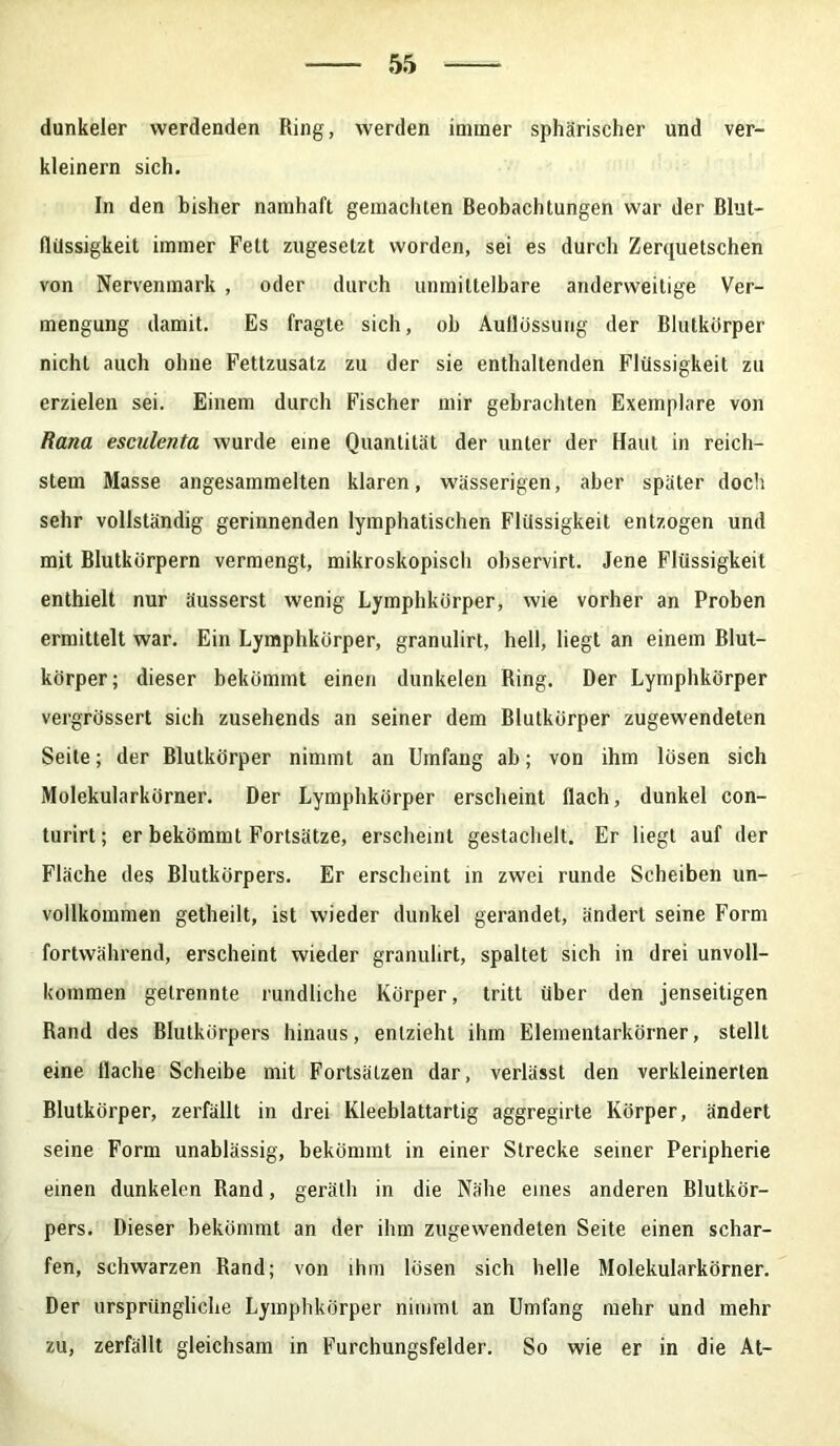 dunkeier werdenden Ring, werden immer sphärischer und ver- kleinern sich. In den bisher namhaft gemachten Beobachtungen war der Blut- flüssigkeit immer Fett zugesetzt worden, sei es durch Zerquetschen von Nervenmark , oder durch unmittelbare anderweitige Ver- mengung damit. Es fragte sich, ob Auflössung der Blutkörper nicht auch ohne Fettzusatz zu der sie enthaltenden Flüssigkeit zu erzielen sei. Einem durch Fischer mir gebrachten Exemplare von Rana esculenta wurde eine Quantität der unter der Haut in reich- stem Masse angesammelten klaren, wässerigen, aber später doch sehr vollständig gerinnenden lymphatischen Flüssigkeit entzogen und mit Blutkörpern vermengt, mikroskopisch observirt. Jene Flüssigkeit enthielt nur äusserst wenig Lymphkörper, wie vorher an Proben ermittelt war. Ein Lymphkörper, granulirt, hell, liegt an einem Blut- körper; dieser bekömmt einen dunkelen Ring. Der Lymphkörper vergrössert sich zusehends an seiner dem Blutkörper zugewendeten Seite; der Blutkörper nimmt an Umfang ab; von ihm lösen sich Molekularkörner. Der Lymphkörper erscheint flach, dunkel con- turirt; er bekömmt Fortsätze, erscheint gestachelt. Er liegt auf der Fläche des Blutkörpers. Er erscheint in zwei runde Scheiben un- vollkommen getheilt, ist wieder dunkel gerandet, ändert seine Form fortwährend, erscheint wieder granulirt, spaltet sich in drei unvoll- kommen getrennte rundliche Körper, tritt über den jenseitigen Rand des Blutkörpers hinaus, entzieht ihm Elementarkörner, stellt eine flache Scheibe mit Fortsätzen dar, verlässt den verkleinerten Blutkörper, zerfällt in drei Kleeblattartig aggregirte Körper, ändert seine Form unablässig, bekömmt in einer Strecke seiner Peripherie einen dunkelen Rand, gerälli in die Nähe eines anderen Blutkör- pers. Dieser bekömmt an der ihm zugewendeten Seite einen schar- fen, schwarzen Rand; von ihm lösen sich helle Molekularkörner. Der ursprüngliche Lymphkörper nimmt an Umfang mehr und mehr zu, zerfällt gleichsam in Furchungsfelder. So wie er in die At-