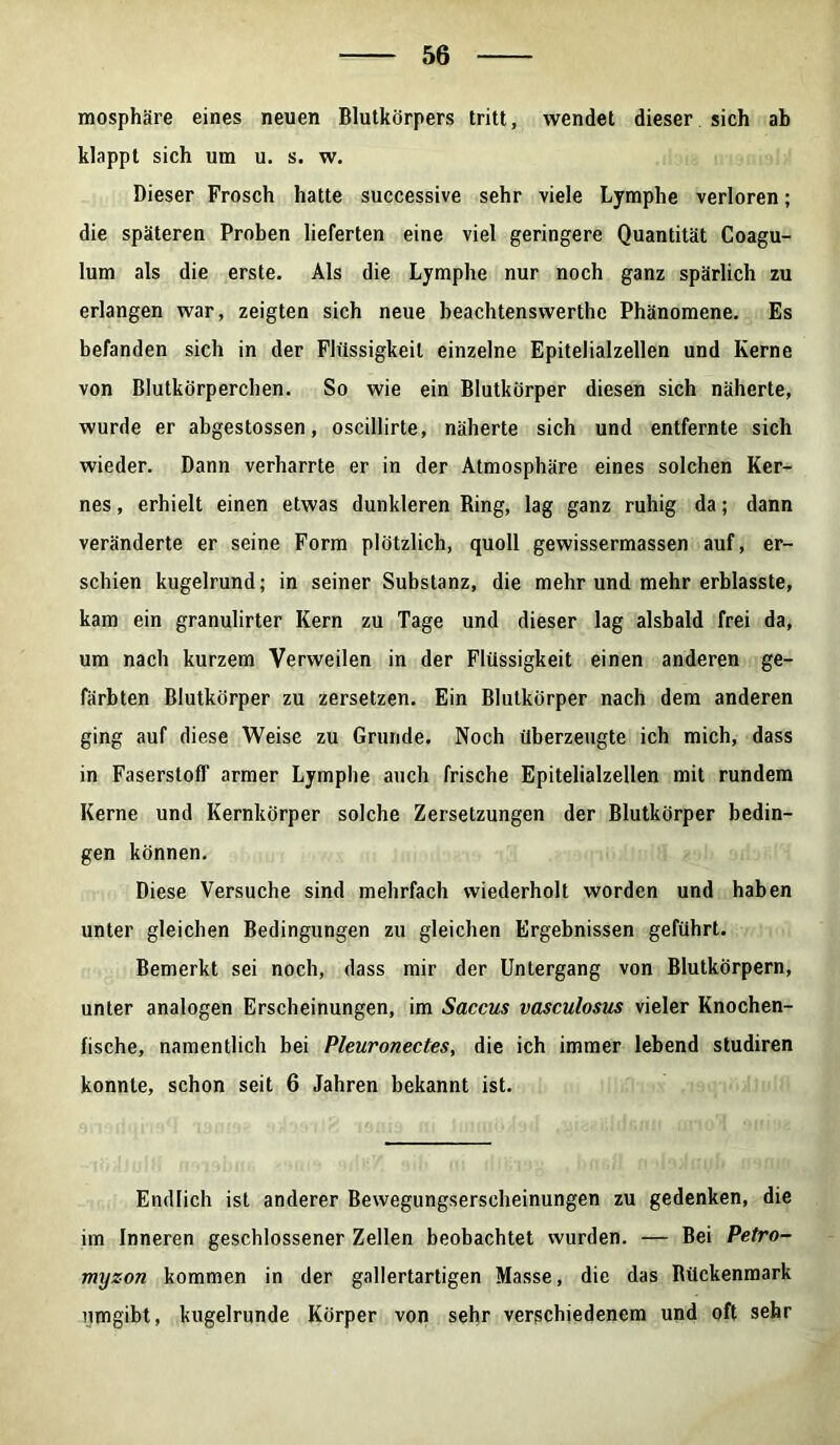 mosphäre eines neuen Blutkörpers tritt, wendet dieser sich ab klappt sich um u. s. w. Dieser Frosch hatte successive sehr viele Lymphe verloren; die späteren Proben lieferten eine viel geringere Quantität Coagu- lum als die erste. Als die Lymphe nur noch ganz spärlich zu erlangen war, zeigten sich neue beachtenswerthc Phänomene. Es befanden sich in der Flüssigkeit einzelne Epitelialzellen und Kerne von Blutkörperchen. So wie ein Blutkörper diesen sich näherte, wurde er abgestossen, oscillirte, näherte sich und entfernte sich wieder. Dann verharrte er in der Atmosphäre eines solchen Ker- nes , erhielt einen etwas dunkleren Ring, lag ganz ruhig da; dann veränderte er seine Form plötzlich, quoll gewissermassen auf, er- schien kugelrund; in seiner Substanz, die mehr und mehr erblasste, kam ein granulirter Kern zu Tage und dieser lag alsbald frei da, um nach kurzem Verweilen in der Flüssigkeit einen anderen ge- färbten Blutkörper zu zersetzen. Ein Blulkörper nach dem anderen ging auf diese Weise zu Grunde. Noch überzeugte ich mich, dass in Faserstoff armer Lymphe auch frische Epitelialzellen mit rundem Kerne und Kernkörper solche Zersetzungen der Blutkörper bedin- gen können. Diese Versuche sind mehrfach wiederholt worden und haben unter gleichen Bedingungen zu gleichen Ergebnissen geführt. Bemerkt sei noch, dass mir der Untergang von Blutkörpern, unter analogen Erscheinungen, im Saccus vasculosus vieler Knochen- fische, namentlich bei Pleuronectes, die ich immer lebend studiren konnte, schon seit 6 Jahren bekannt ist. Endlich ist anderer Bewegungserscheinungen zu gedenken, die im Inneren geschlossener Zellen beobachtet wurden. — Bei Petro- myzon kommen in der gallertartigen Masse, die das Rückenmark umgibt, kugelrunde Körper von sehr verschiedenem und oft sehr