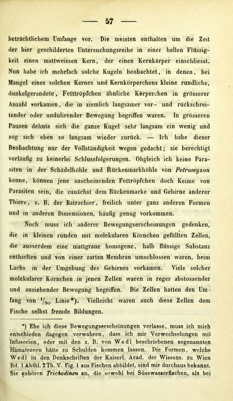 beträchtlichem Umfange vor. Die meisten enthalten um die Zeit der hier geschilderten Untersuchungsreihe in einer hellen Flüssig- keit einen mattweissen Kern, der einen Kernkörper einschliesst. Nun habe ich mehrfach solche Kugeln beobachtet, in denen, bei Mangel eines solchen Kernes und Kernkörperchens kleine rundliche, dunkelgerandete, Fetttröpfchen ähnliche Körperchen in grösserer Anzahl yorkamen, die in ziemlich langsamer vor- und rückschrei- tender oder undulirender Bewegung begriffen waren. In grösseren Pausen dehnte sich die ganze Kugel sehr langsam ein wenig und zog sich eben so langsam wieder zurück. — Ich habe dieser Beobachtung nur der Vollständigkeit wegen gedacht; sie berechtigt vorläufig zu keinerlei Schlussfolgerungen. Obgleich ich keine Para- siten in der Schädelhöhle und Rückenmarkhöhle von Petromyzon kenne, können jene anscheinenden Fettröpfchen doch Keime von Parasiten sein, die zunächst dem Bückenmarke und Gehirne anderer Thiere, z. B. der Batrachier, freilich unter ganz anderen Formen und in anderen Dimensionen, häufig genug Vorkommen. Noch muss ich anderer Bewegungserscheinungen gedenken, die in kleinen runden mit molekularen Körnchen gefüllten Zellen, die ausserdem eine mattgraue homogene, halb flüssige Substanz enthielten und von einer zarten Membran umschlossen waren, beim Lachs in der Umgebung des Gehirnes vorkamen. Viele solcher molekularer Körnchen in jenen Zellen waren in reger abstossender und anziehender Bewegung begriffen. Die Zellen hatten den Um- fang von */o(j Linie*). Vielleicht waren auch diese Zellen dem Fische selbst fremde Bildungen. *) Ehe ich diese Bewegungserscheinungen verlasse, muss ich mich entschieden dagegen verwahren, dass ich mir Verwechselungen mit Infusorien, oder mit den z. B. von Wedl beschriebenen sogenannten Hämatozoen hätte zu Schulden kommen lassen. Die Formen, welche Wedl in den Denkschriften der Kaiserl. Acad. der Wissens, zu Wien Bd. I Abthl. 2 Tb. V. Fig. 1 aus Fischen abbildet, sind mir durchaus bekannt. Sie gehören Trichodinen an, die sowohl bei Süsswasserfischen, als bei