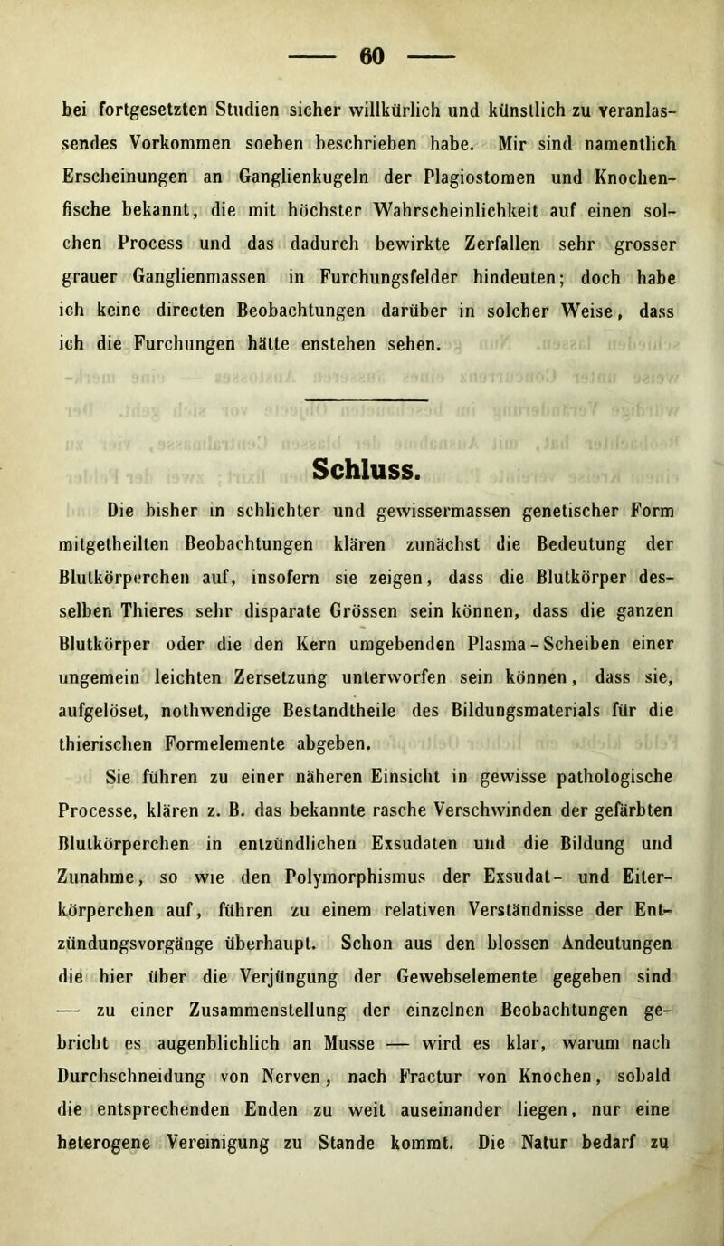 bei fortgesetzten Studien sicher willkürlich und künstlich zu veranlas- sendes Vorkommen soeben beschrieben habe. Mir sind namentlich Erscheinungen an Ganglienkugeln der Plagiostomen und Knochen- fische bekannt, die mit höchster Wahrscheinlichkeit auf einen sol- chen Process und das dadurch bewirkte Zerfallen sehr grosser grauer Ganglienmassen in Furchungsfelder hindeuten; doch habe ich keine directen Beobachtungen darüber in solcher Weise, dass ich die Furchungen hätte enstehen sehen. Schluss. Die bisher in schlichter und gewissermassen genetischer Form milgetheilten Beobachtungen klären zunächst die Bedeutung der Blutkörperchen auf, insofern sie zeigen, dass die Blutkörper des- selben Thieres sehr disparate Grössen sein können, dass die ganzen Blutkörper oder die den Kern umgebenden Plasma - Scheiben einer ungemein leichten Zersetzung unterworfen sein können, dass sie, aufgelöset, nothwendige Bestandtheile des Bildungsmaterials für die thierischen Formelemente abgeben. Sie führen zu einer näheren Einsicht in gewisse pathologische Processe, klären z. B. das bekannte rasche Verschwinden der gefärbten Blutkörperchen in entzündlichen Exsudaten und die Bildung und Zunahme, so wie den Polymorphismus der Exsudat- und Eiter- körperchen auf, führen zu einem relativen Verständnisse der Ent- zündungsvorgänge überhaupt. Schon aus den blossen Andeutungen die hier über die Verjüngung der Gewebselemente gegeben sind — zu einer Zusammenstellung der einzelnen Beobachtungen ge- bricht es augenblicklich an Müsse — wird es klar, warum nach Durchschneidung von Nerven, nach Fractur von Knochen, sobald die entsprechenden Enden zu weit auseinander liegen, nur eine heterogene Vereinigung zu Stande kommt. Die Natur bedarf zu