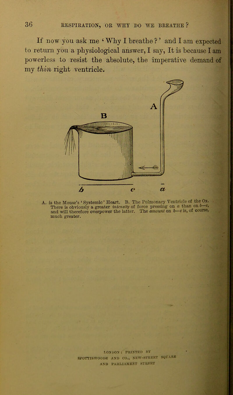 If now you ask me ‘ Why I breathe ? ’ and I am expected to return you a physiological answer, I say, It is because I am powerless to resist the absolute, the imperative demand of my thin right ventricle. A. is the Mouse’s ‘ Systemic ’ Heart. B. The Pulmonary Ventricle of the Ox. There is obviously a greater intensity of force pressing on a than on b c, and will therefore overpower the latter. The amount on 6—c is, of course, much greater. X. ON DON' : PUIXTED BY sroTTiswooms and co., nkw-stoekt si} it auk AND PAUHAMKNT STUKHT