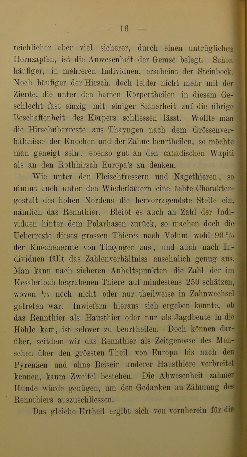 reichlicher aber viel sicherer, durch einen untrüglichen Hornzapfen, ist die Anwesenheit der Gemse belegt. Schon häufiger, in mehreren Individuen, erscheint der Steinbock. Noch häufiger der Hirsch, doch leider nicht mehr mit der Zierde, die unter den harten Körpertheilen in diesem Ge- schlecht fast einzig mit einiger Sicherheit auf die übrige Beschaffenheit des Körpers schliessen lässt. Wollte man die Hirschüberreste aus Thayngen nach dem Grössenver- '' hältnisse der Knochen und der Zähne beurtheilen, so möchte . man geneigt sein, ebenso gut an den canadischen Wapiti ; als an den Eothhirsch Europa’s zu denken. Wie unter den Fleischfressern und Nagethieren, so ' ^ nimmt auch unter den Wiederkäuern eine ächte Charakter- ■ i gestalt des hohen Nordens die hervorragendste Stelle ein, ?' nämlich das Kennthier. Bleibt es auch au Zahl der Tndi- viduen hinter dem Polarhasen zurück, so machen doch die Ueberreste dieses grossen Thieres nach Volum wohl 90°/o | der Knochenernte von Thayngen aus, und auch nach In- | dividuen fällt das Zahlenverhältniss ansehnlich genug aus. 1 Man kann nach sicheren Anhaltspunkten die Zahl der im a Kesslerloch begrabenen Thiere auf mindestens 250 schätzen, I Avovon Yö noch nicht oder nur theihveise in Zahnwechsel m getreten war. Inwiefern hieraus sich ergeben könnte, ob fl das Rennthier als Hausthier oder nur als Jagdbeute in die 8 Höhle kam, ist sclnver zu beurtheilen. Doch können dar- fl über, seitdem Avir das Rennthier als Zeitgenosse des Men- fl sehen über den grössten Theil von Europa bis nach den fl Pyrenäen und ohne Beisein anderer Hausthiere verbreitet fl kennen, kaum ZAveifel bestehen. Die Abwesenheit zahmer fl Hunde würde genügen, um den Gedanken an Zähmung des fl Renntliiers auszuschliessen. fl Das gleiche Urtheil ergibt sich von vornherein für die fl