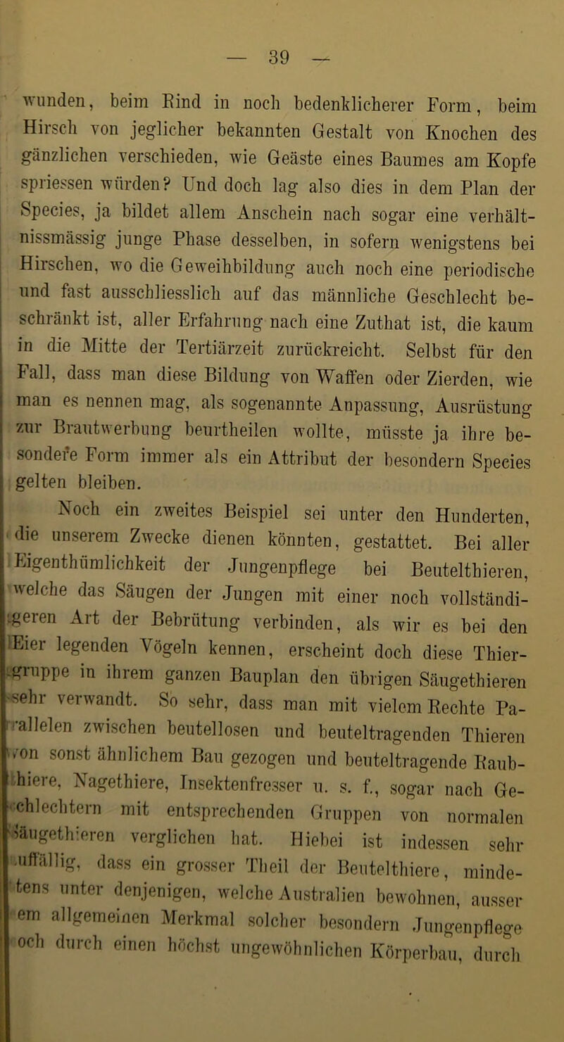 ■wunden, beim Eind in noch bedenklicherer Form, beim Hirsch von jeglicher bekannten Gestalt von Knochen des gänzlichen verschieden, wie Geäste eines Baumes am Kopfe spriessen würden? Und doch lag also dies in dem Plan der Species, ja bildet allem Anschein nach sogar eine verhält- nissmässig junge Phase desselben, in sofern wenigstens bei I Hirschen, wo die Geweihbildung auch noch eine periodische I und fast ausschliesslich auf das männliche Geschlecht be- 1 schiänkt ist, aller Erfahrung nach eine Zuthat ist, die kaum i in die Mitte der Tertiärzeit zurückreicht. Selbst für den ; Fall, dass man diese Bildung von Waffen oder Zierden, wie I man es nennen mag, als sogenannte Anpassung, Ausrüstung I zur Brautwerbung beurtheilen wollte, müsste ja ihre be- f sondefe Form immer als ein Attribut der besondern Species f gelten bleiben. I Noch ein zweites Beispiel sei unter den Hunderten, die unserem Zwecke dienen könnten, gestattet. Bei aller •Phgenthümlichkeit der Jungeupflege bei Beutelthieren, welche das Säugen der Jungen mit einer noch vollständi- .geren Art der Bebrütung verbinden, als wir es bei den lEier legenden Vögeln kennen, erscheint doch diese Thier- igiuppe in ihrem ganzen Bauplan den übrigen Säugethieren '«ehr verwandt. So sehr, dass man mit vielem Rechte Pa- '•allelen zwischen beutellosen und beuteltragenden Thieren u-on sonst ähnlichem Bau gezogen und beuteltragende Raub- hiere, Nagethiere, Insektenfresser u. s. f., sogar nach Ge- ■chlechtern mit entsprechenden Gruppen von normalen Jäugethieren verglichen hat. Hiebei ist indessen sehr 'auffällig, dass ein grosser Theil der Beutelthiere, minde- ' tens unter denjenigen, welche Australien bewohnen, ausser em allgemeinen Merkmal solcher besondern Jungenpflege och durch einen höchst ungewöhnlichen Körperbau, durch