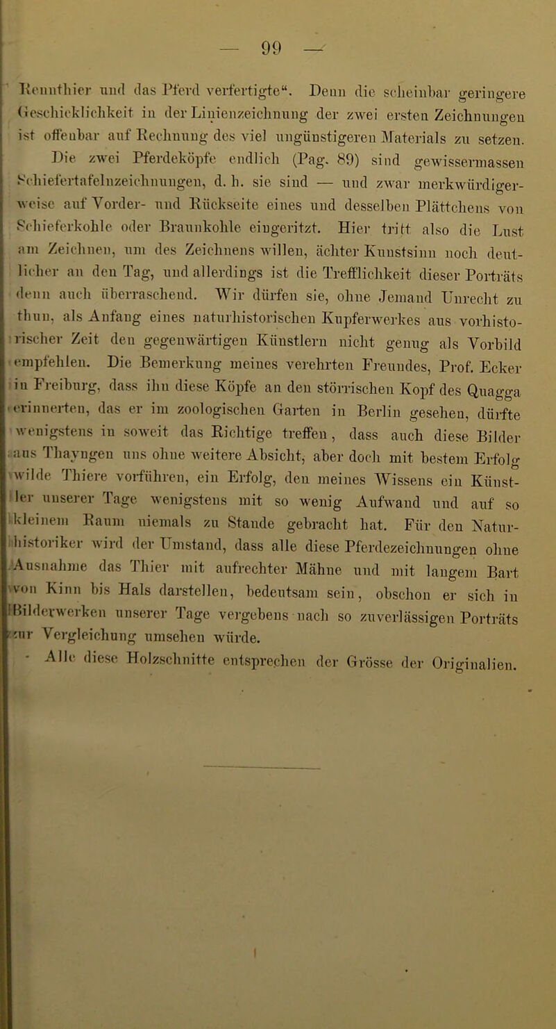 Kemitliicr mul tlas Pferd verfertigte“. Demi die selieinliar geringere ({eschiekliciikeit in der Liuienzeiclinung der zwei ersten Zeicliuungeu ist offenbar auf Keehming des viel ungünstigeren j\raterials zu setzen. Die. zwei Pferdeköpfe endlicli (Pag. 89) sind gewisserinassen Scliiefertafelnzeiehnuugen, d. h. sie sind — und zwar merkwürdiger- weise auf Vorder- und Rückseite eines und desselben Pkättcliens von Pebieferkohlc oder Braunkohle eiugeritzt. Hier tritt also die Lust am Zeiehnen, um des Zeichnens willen, cächter Kunstsinn noch deut- lieher an den Tag, und allerdings ist die Trefflichkeit dieser Porträts denn auch überraschend. Wir dürfen sie, ohne Jemand Unrecht zu tluin, als Anfang eines naturhistorischeu Kupferwerkes aus vorhisto- rischer Zeit den gegenwärtigen Künstlern nicht genug als Vorbild empfehlen. Die Bemerkung meines verehrten Freundes, Prof. Ecker in Freiburg, dass ihn diese Köpfe an den störrischen Kopf des Quagga .erinnerten, das er im zoologischen Garten in Berlin gesehen, dürfte wenigstens in soweit das Richtige treffen, dass auch diese Bilder . ans Thayngeu uns ohne weitere Absicht, aber doch mit bestem Erfolg 'Wilde Thiere vorführen, ein Erfolg, den meines Wissens ein Künst- ler unserer Tage wenigstens mit so wenig AufAvand und auf so Ikleinem Raum niemals zu Staude gebracht hat. Für den Natur- Hiistoriker Avii-d der Umstand, dass alle diese Pferdezeichuungen ohne -Ausnahme das Thier mit aufrechter Mähne und mit langem Bart 'Von Kinn bis Hals darstellen, bedentsani sein, obschon er sich in IBilderwerken unserer Tage vergebens nach so zuverlässigen Porträts i-^nr Vergleichung uraseheu würde. - Alle diese Holzschnitte entsprechen der Grösse der Originalien.