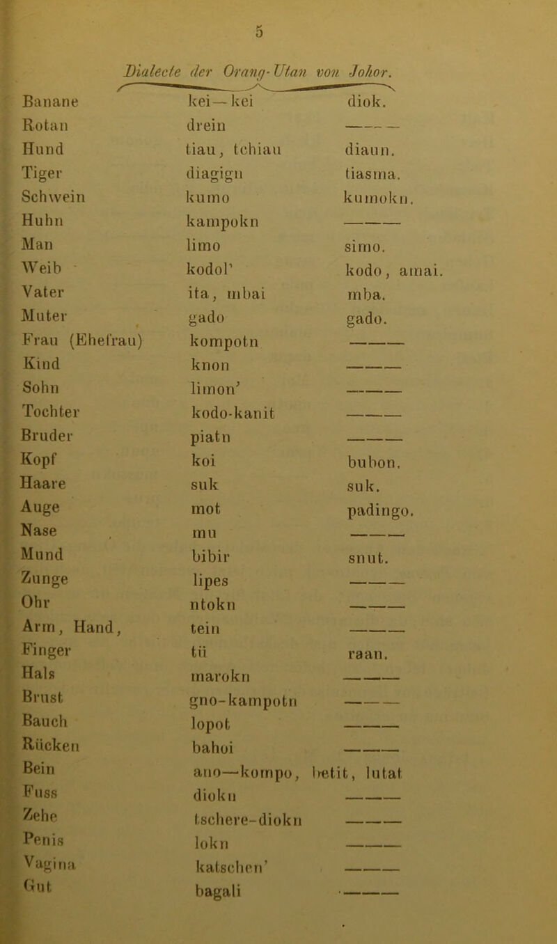 Dialecte der Oranc)- Ulan von Johor. Banane kei— kei diok. Rotan drein — Hund tiau, tchiau diaun. Tiger diagign liasina. Schwein kumo kumokn. Huhn kainpokn — Man limo simo. Weib kodoP kodo, ainai. Vater ita, mbai rnba. Muter gado gado. Frau (Ehefrau) kompotn — Kind knon Sohn limon^ Tochter kodo-kanit Bruder piatn — Kopf koi bubon. Haare suk suk. Auge inot padingo. Nase mu Mund bibir snut. Zunge lipes — Ohr ntokn — Arm, Hand, teil! — Finger tü raan. Hals marokn — — Brust gno-kampotn — Bauch lopot — Rücke bahüi Bein ano—kompo. imtit, In tat Fuss diokn Zehe tschere-diokn Penis lokn — Vagitia katschen’ — c;ut bagali •