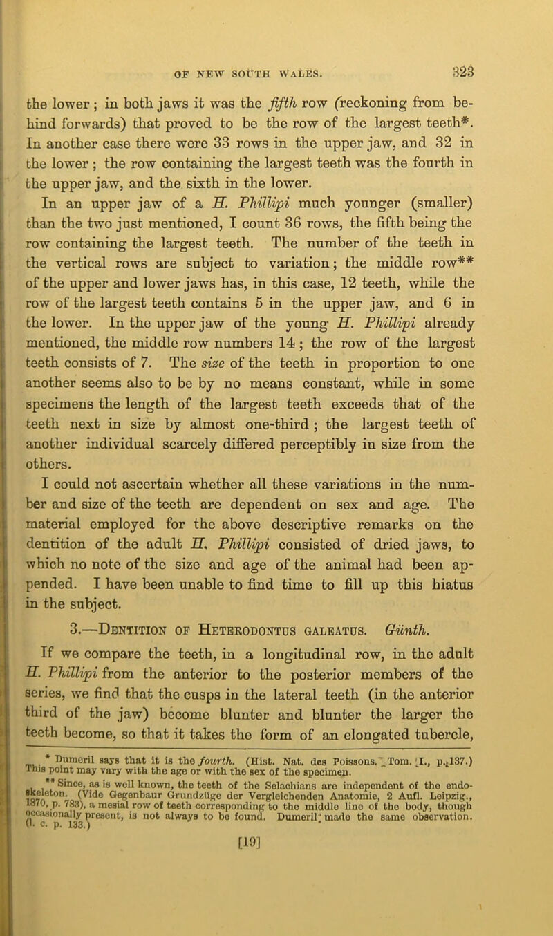 the lower ; in both jaws it was the fifth row (reckoning from be- hind forwards) that proved to be the row of the largest teeth#. In another case there were 33 rows in the upper jaw, and 32 in the lower ; the row containing the largest teeth was the fourth in the upper jaw, and the sixth in the lower. In an upper jaw of a H. Phillipi much younger (smaller) than the two just mentioned, I count 36 rows, the fifth being the row containing the largest teeth. The number of the teeth in the vertical rows are subject to variation; the middle row** of the upper and lower jaws has, in this case, 12 teeth, while the row of the largest teeth contains 5 in the upper jaw, and 6 in the lower. In the upper jaw of the young II. Phillipi already mentioned, the middle row numbers 14; the row of the largest teeth consists of 7. The size of the teeth in proportion to one another seems also to be by no means constant, while in some specimens the length of the largest teeth exceeds that of the teeth next in size by almost one-third ; the largest teeth of another individual scarcely differed perceptibly in size from the others. I could not ascertain whether all these variations in the num- ber and size of the teeth are dependent on sex and age. The material employed for the above descriptive remarks on the dentition of the adult H. Phillijpi consisted of dried jaws, to which no note of the size and age of the animal had been ap- pended. I have been unable to find time to fill up this hiatus in the subject. 3.—Dentition op Heterodontus galeatus. Giinth. If we compare the teeth, in a longitudinal row, in the adult H. Phillijoi from the anterior to the posterior members of the series, we find that the cusps in the lateral teeth (in the anterior third of the jaw) become blunter and blunter the larger the teeth become, so that it takes the form of an elongated tubercle, * Dumeril says that it is the fourth. (Hist. Nat. des Poissons. 1 Tom. (I., p.*137.) This point may vary with the age or with the sex of the specimen. , ** Since, as is well known, the teeth of the Selachians are independent of the endo- io7n°n' Gegenbaur Grundzllge der Vergleichenden Anatomie, 2 Aufl. Leipzig., 1870, p. 783), a mesial row of teeth corresponding to the middle line of the body, though occasionally present, is not always to bo found. Dumeril made the same observation. 0- c. p. 133.) [19]