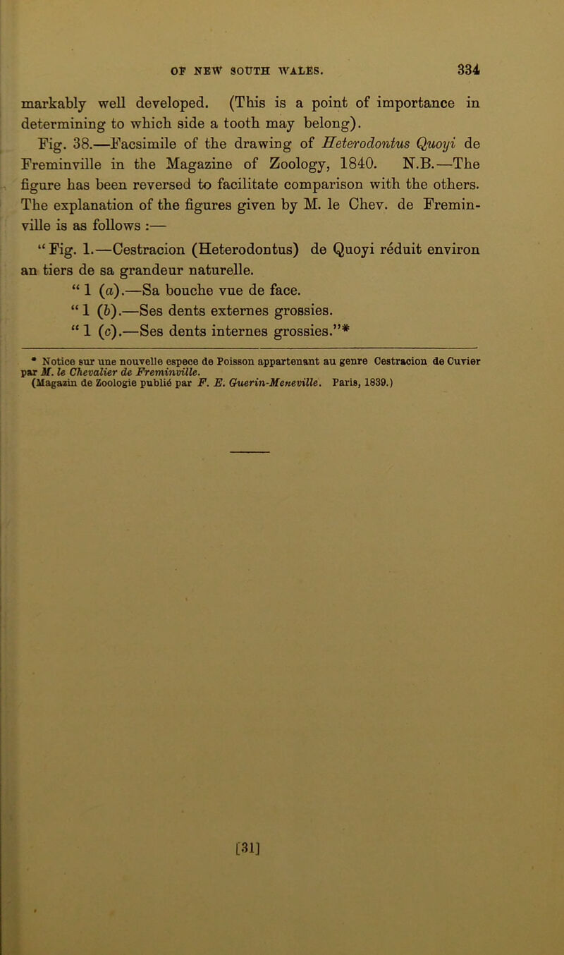 markably well developed. (This is a point of importance in determining to which side a tooth may belong). Fig. 38.—Facsimile of the drawing of Heterodontus Quoyi de Freminville in the Magazine of Zoology, 1840. N.B.—The figure has been reversed to facilitate comparison with the others. The explanation of the figures given by M. le Chev. de Fremin- ville is as follows :— “Fig. 1.—Oestracion (Heterodontus) de Quoyi reduit environ an tiers de sa grandeur naturelle. “ 1 (a).—Sa bouche vue de face. “1 (&).—Ses dents externes grossies. “ 1 (c).—Ses dents internes grossies.”* * Notice but une nouvelle espece de Poisson appartenant au genre Cestracion de Curler par M. le Chevalier de Freminville. (Magazin de Zoologie public par F. E. Guerin-Meneville. Paris, 1839.) [31]