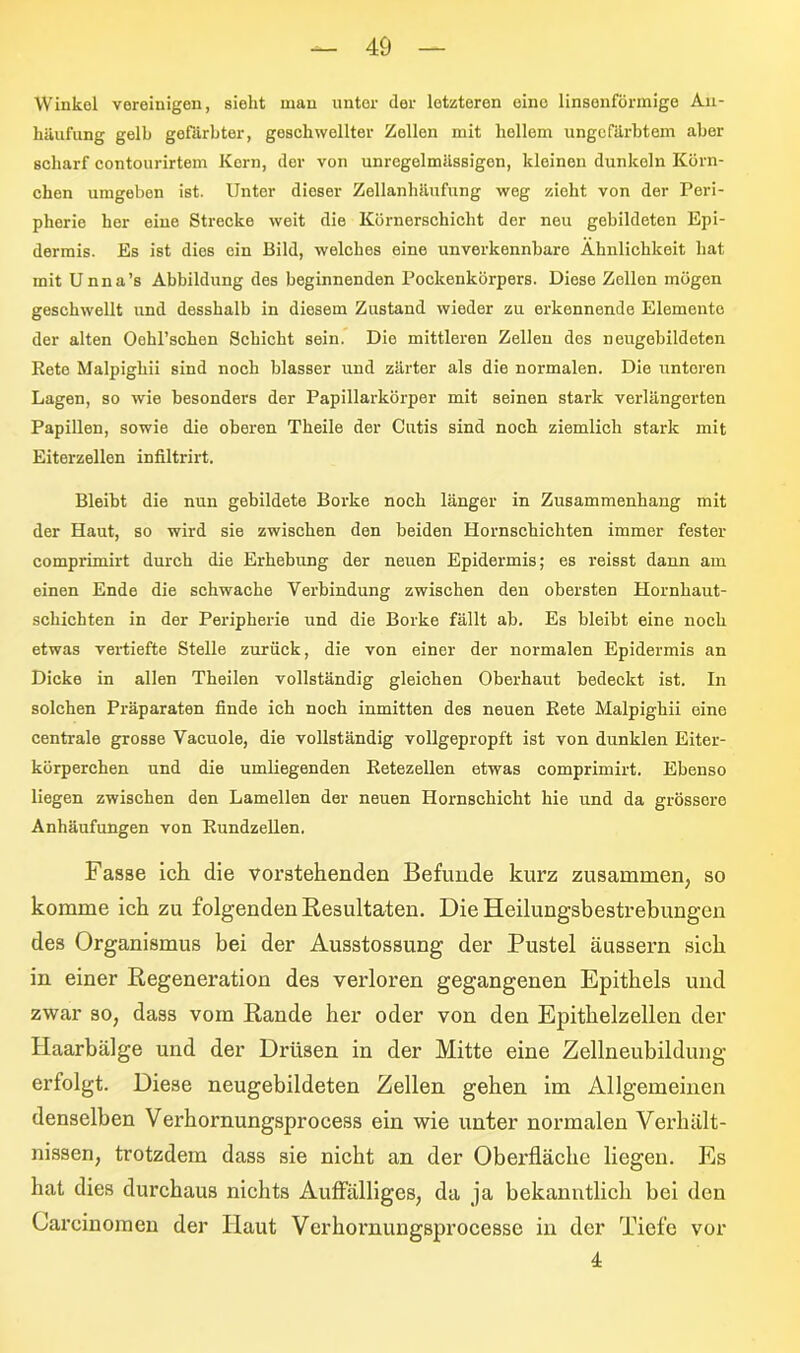 Winkel vereinigen, sieht man unter der letzteren eine linsenförmige An- häufung gelb gefärbter, geschwellter Zellen mit hellem ungefärbtem aber scharf contourirtem Korn, der von unregelmässigen, kleinen dunkeln Körn- chen umgeben ist. Unter dieser Zellanhäufung weg zieht von der Peri- pherie her eine Strecke weit die Körnerschicht der neu gebildeten Epi- dermis. Es ist dies ein Bild, welches eine unverkennbare Ähnlichkeit hat mit Unna’s Abbildung des beginnenden Pockenkörpers. Diose Zollen mögen geschwellt und desshalb in diesem Zustand wieder zu erkennende Elemente der alten Oohrschon Schicht sein. Die mittleren Zellen dos neugebildotcn Rete Malpighii sind noch blasser und zärter als die normalen. Die unteren Lagen, so wie besonders der Papillarkörper mit seinen stark verlängerten Papillen, sowie die oberen Theile der Cutis sind noch ziemlich stark mit Eiterzellen infiltrirt. Bleibt die nun gebildete Borke noch länger in Zusammenhang mit der Haut, so wird sie zwischen den beiden Hornschichten immer fester comprimirt durch die Erhebung der neuen Epidermis; es reisst dann am einen Ende die schwache Verbindung zwischen den obersten Hornhaut- schichten in der Peripherie und die Borke fällt ab. Es bleibt eine noch etwas vertiefte Stelle zurück, die von einer der normalen Epidermis an Dicke in allen Theilen vollständig gleichen Oberhaut bedeckt ist. In solchen Präparaten finde ich noch inmitten des neuen Rete Malpighii eine centrale grosse Vacuole, die vollständig vollgepropft ist von dunklen Eiter- körperchen und die umliegenden Retezellen etwas comprimirt. Ebenso liegen zwischen den Lamellen der neuen Hornschicht hie und da grössere Anhäufungen von Rundzellen, Fasse ich. die vorstehenden Befunde kurz zusammen, so komme ich zu folgenden Resultaten. Die Heilungsbestrebungen des Organismus bei der Ausstossung der Pustel äussern sich in einer Regeneration des verloren gegangenen Epithels und zwar so, dass vom Rande her oder von den Epithelzellen der Ilaarbälge und der Drüsen in der Mitte eine Zellneubildung erfolgt. Diese neugebildeten Zellen gehen im Allgemeinen denselben Verhornungsprocess ein wie unter normalen Verhält- nissen, trotzdem dass sie nicht an der Oberfläche liegen. Es hat dies durchaus nichts Auffälliges, da ja bekanntlich bei den Careinomen der Haut Verhornungsprocesse in der Tiefe vor 4