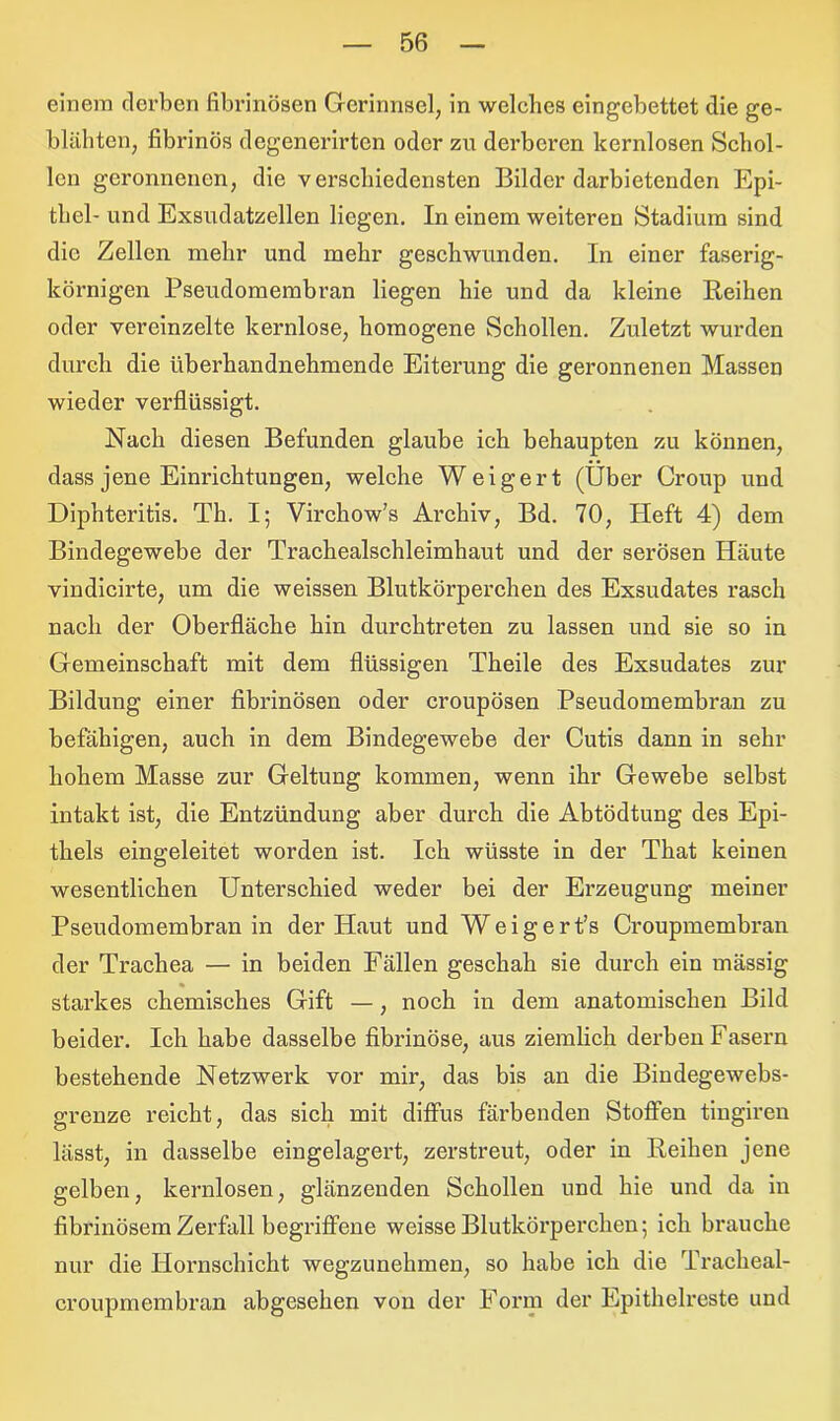 einem derben fibrinösen Gerinnsel, in welches eingebettet die ge- blühten, fibrinös degenerirtcn oder zu derberen kernlosen Schol- len geronnenen, die verschiedensten Bilder darbietenden Epi- thel- und Exsudatzellen liegen. In einem weiteren Stadium sind die Zellen mehr und mehr geschwunden. In einer faserig- körnigen Pseudomembran liegen hie und da kleine Reihen oder vereinzelte kernlose, homogene Schollen. Zuletzt wurden durch die überhandnehmende Eiterung die geronnenen Massen wieder verflüssigt. Nach diesen Befunden glaube ich behaupten zu können, dass jene Einrichtungen, welche Weigert (Über Croup und Diphteritis. Th. I; Virchow’s Archiv, Bd. 70, Heft 4) dem Bindegewebe der Trachealschleimhaut und der serösen Häute vindicirte, um die weissen Blutkörperchen des Exsudates rasch nach der Oberfläche hin durchtreten zu lassen und sie so in Gemeinschaft mit dem flüssigen Theile des Exsudates zur Bildung einer fibrinösen oder croupösen Pseudomembran zu befähigen, auch in dem Bindegewebe der Cutis dann in sehr hohem Masse zur Geltung kommen, wenn ihr Gewebe selbst intakt ist, die Entzündung aber durch die Abtödtung des Epi- thels eingeleitet worden ist. Ich wüsste in der That keinen wesentlichen Unterschied weder bei der Erzeugung meiner Pseudomembran in der Haut und Weigert’s Croupmembran der Trachea — in beiden Fällen geschah sie durch ein massig starkes chemisches Gift —, noch in dem anatomischen Bild beider. Ich habe dasselbe fibrinöse, aus ziemlich derben Fasern bestehende Netzwerk vor mir, das bis an die Bindegewebs- grenze reicht, das sich mit diffus färbenden Stoffen tingiren lässt, in dasselbe eingelagert, zerstreut, oder in Reihen jene gelben, kernlosen, glänzenden Schollen und hie und da in fibrinösem Zerfall begriffene weisse Blutkörperchen; ich brauche nur die Hornschicht wegzunehmen, so habe ich die Tracheal- croupmembran abgesehen von der Form der Epithelreste und