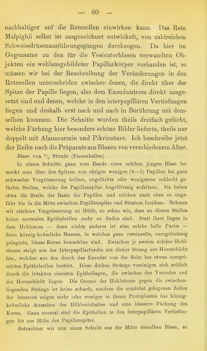 nachhaltiger auf die Retezellen einwirken kann. Das Rete Malpighii selbst ist ausgezeichnet entwickelt, von zahlreichen Sehweissdrüsenausführungsgängen durchzogen. Da hier im Gegensätze zu den für die Vesicatorblasen verwandten Ob- jekten ein wohlausgebildeter Papillarkörper vorhanden ist, so müssen wir bei der Beschreibung der Veränderungen in den Retezellen unterscheiden zwischen denen, die direkt über der Spitze der Papille liegen, also dem Exsudatstrom direkt ausge- setzt sind und denen, welche in den interpapillären Vertiefungen liegen und deshalb erst nach und nach in Berührung mit dem- selben kommen. Die Schnitte wurden theils dreifach gefärbt, welche Färbung hier besonders schöne Bilder lieferte, theils nur doppelt mit Alauncarmin und Pikrinsäure. Ich beschreibe jetzt der Reihe nach die Präparate aus Blasen von verschiedenem Alter. Blase von ‘/+ Stunde (Fersenballen). In einem Schnitte ganz vom Bande einer solchen jungen Blase be- merkt man über den Spitzen von einigen wenigen (4—5) Papillen bei ganz schwacher Yergrösserung hellere, ungefärbte oder wenigstens schlecht ge- färbte Stellen, welche der Papillenspitze kugelförmig aufsitzen. Sie haben etwa die Breite der Basis der Papillen und reichen nach oben zu unge- fähr bis in die Mitte zwischen Papillenspitze und Stratum lucidum. Nehmen wir stärkere Vergrösserung zu Hülfe, so sehen wir, dass an diesen Stellen keine normalen Epithelzellen mehr zu finden sind. Statt ihrer liegen in dem Hohlraum — denn nichts anderes ist eine solche helle Partie — feine körnig-krümliche Massen, in welchen ganz vereinzelte, unregelmässig gelagerte, blasse Kerne bemerkbar sind. Zwischen je zweien solcher Hohl- räume steigt aus der Interpapillarfurche ein dicker Strang zur Hornschicht hin, welcher aus den durch das Exsudat von der Seite her etwas compri- mirten Epithelzellen besteht. Diese dicken Stränge vereinigen sich seitlich durch die intakten obersten Epithellagen, die zwischen den Vacuolen und der Hornschicht liegen. Die Grenze der Hohlräume gegen die zwischen- liegendeu Stränge ist keine scharfe, sondern die zunächst gelegenen Zellen der letzteren zeigen mehr oder weniger in ihrem Protoplasma das körnig- krümliche Aussehen des Höhleninhaltes und eine blässere Färbung des Korns. Ganz normal sind die Epithelien in den lnterpapillären Vertiefun- gen bis zur Höhe der Papillenspitze. Betrachten wir nun einen Schnitt aus der Mitte derselben Blase, so