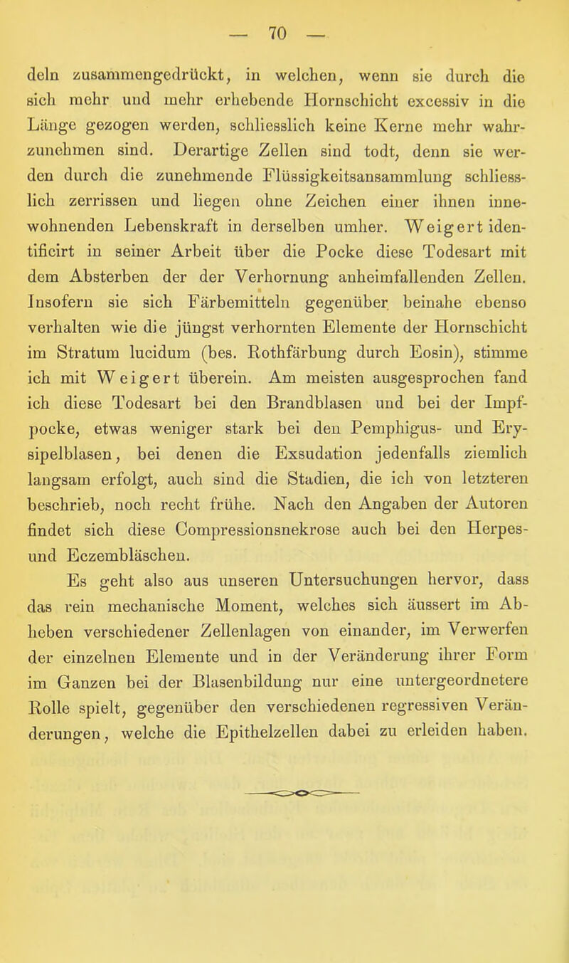 dein zusammengedrückt, in welchen, wenn sie durch die sieh mehr und mehr erhebende Hornschicht cxcessiv in die Länge gezogen werden, schliesslich keine Kerne mehr wahr- zunehmen sind. Derartige Zellen sind todt, denn sie wer- den durch die zunehmende Flüssigkeitsansammlung schliess- lich zerrissen und liegen ohne Zeichen einer ihnen inne- wohnenden Lebenskraft in derselben umher. Weigert iden- tificirt in seiner Arbeit über die Pocke diese Todesart mit dem Absterben der der Verhornung anheimfallenden Zellen. ■ Insofern sie sich Färbemitteln gegenüber beinahe ebenso verhalten wie die jüngst verhornten Elemente der Hornschicht im Stratum lucidum (bes. Rothfärbung durch Eosin), stimme ich mit Weigert überein. Am meisten ausgesprochen fand ich diese Todesart bei den Brandblasen und bei der Impf- pocke, etwas weniger stark bei den Pemphigus- und Ery- sipelblasen, bei denen die Exsudation jedenfalls ziemlich langsam erfolgt, auch sind die Stadien, die ich von letzteren beschrieb, noch recht frühe. Nach den Angaben der Autoren findet sich diese Compressionsnekrose auch bei den Herpes- und Eczembläschen. Es geht also aus unseren Untersuchungen hervor, dass das rein mechanische Moment, welches sich äussert im Ab- heben verschiedener Zellenlagen von einander, im Verwerfen der einzelnen Elemente und in der Veränderung ihrer Form im Ganzen bei der Blasenbildung nur eine untergeordnetere Rolle spielt, gegenüber den verschiedenen regressiven Verän- derungen , welche die Epithelzellen dabei zu erleiden haben.