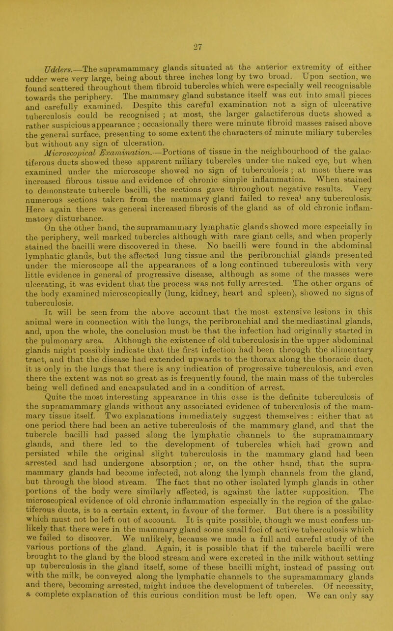 Udders. The supramammary glands situated at the anterior extremity of either udder were very large, being about three inches long by two broad. Upon section, we found scattered throughout them fibroid tubercles which were especially well recognisable towards the periphery. The mammary gland substance itself was cut into small pieces and carefully examined. Despite this careful examination not a sign of ulcerative tuberculosis could be recognised; at most, the larger galactiferous ducts showed a rather suspicious appearance ; occasionally there were minute fibroid masses raised above the general surface, presenting to some extent the characters of minute miliary tubercles but without any sign of ulceration. Microscopical Examination.—Portions of tissue in the neighbourhood of the galac- tiferous ducts showed these apparent miliary tubercles under the naked eye, but when examined under the microscope showed no sign of tuberculosis ; at most there was increased fibrous tissue and evidence of chronic simple inflammation. When stained to demonstrate tubercle bacilli, the sections gave throughout negative results. Very numerous sections taken from the mammary gland failed to revea1 any tuberculosis. Here again there was general increased fibrosis of the gland as of old chronic inflam- matory disturbance. On the other hand, the supramammary lymphatic glands showed more especially in the periphery, well marked tubercles although with rare giant cells, and when properly stained the bacilli were discovered in these. Ho bacilli were found in the abdominal lymphatic glands, but the affected lung tissue and the peribronchial glands presented under the microscope all the appearances of a long continued tuberculosis with very little evidence in general of progressive disease, although as some of the masses were ulcerating, it was evident that the process was not fully arrested. The other organs of the body examined microscopically (lung, kidney, heart and spleen), showed no signs of tuberculosis. It will be seen from the above account that the most extensive lesions in this animal were in connection with the lungs, the peribronchial and the mediastinal glands, and, upon the whole, the conclusion must be that the infection had originally started in the pulmonary area. Although the existence of old tuberculosis in the upper abdominal glands might possibly indicate that the first infection had been through the alimentary tract, and that the disease had extended upwards to the thorax along the thoracic duct, it is only in the lungs that there is any indication of progressive tuberculosis, and even there the extent was not so great as is frequently found, the main mass of the tubercles being well defined and encapsulated and in a condition of arrest. Quite the most interesting appearance in this case is the definite tuberculosis of the supramammary glands without any associated evidence of tuberculosis of the mam- mary tissue itself. Two explanations immediately suggest themselves : either that at one period there had been an active tuberculosis of the mammary gland, and that the tubercle bacilli had passed along the lymphatic channels to the supramammary glands, and there led to the development of tubercles which had grown and persisted while the original slight tuberculosis in the mammary gland had been arrested and had undergone absorption; or, on the other hand, that the supra- mammary glands had become infected, not along the lymph channels from the gland, but through the blood stream. The fact that no other isolated lymph glands in other portions of the body were similarly affected, is against the latter supposition. The microscopical evidence of old chronic inflammation especially in the region of the galac- tiferous ducts, is to a certain extent, in favour of the former. But there is a possibility which must not be left out of account. It is quite possible, though we must confess un- likely that there were in the mammary gland some small foci of active tuberculosis which we failed to discover. We unlikely, because we made a full and careful study of the various portions of the gland. Again, it is possible that if the tubercle bacilli were brought to the gland by the blood stream and were excreted in the milk without setting up tuberculosis in the gland itself, some of these bacilli might, instead of passing out with the milk, be conveyed along the lymphatic channels to the supramammary glands and there, becoming arrested, might induce the development of tubercles. Of necessity, a complete explanation of this curious condition must be left open. We can only say