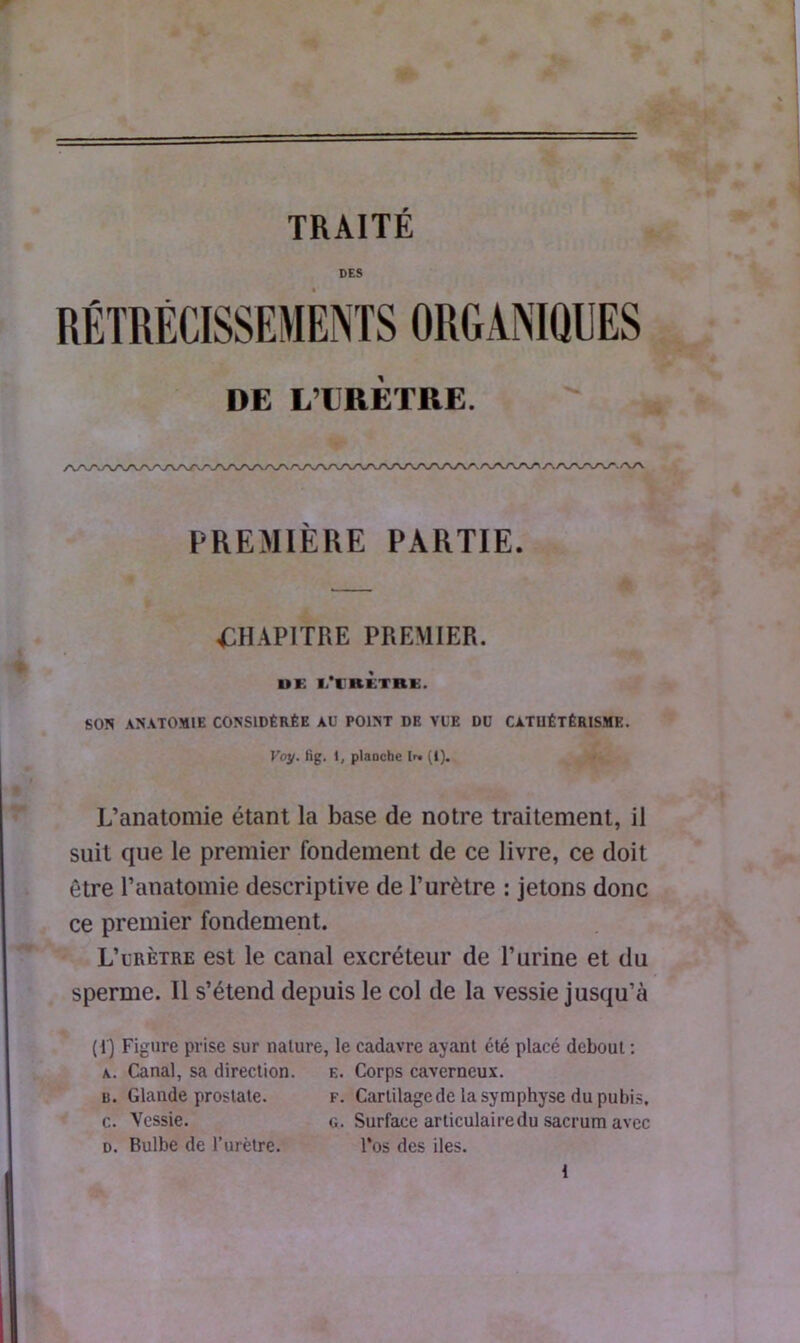 TRAITE DES DE L’URETRE. PREMIÈRE PARTIE. CHAPITRE PREMIER. UK I/I'bÈtRE. SOIS ANATOMIE CONSIDÉRÉE AU POINT DE VUE DU CATHÉTÉRISME. Voy. lîg. 1, planche (»)• L’anatomie étant la base de notre traitement, il suit que le premier fondement de ce livre, ce doit être l’anatomie descriptive de l’urètre : jetons donc ce premier fondement. L’urètre est le canal excréteur de l’urine et du sperme. Il s’étend depuis le col de la vessie jusqu’à (1) Figure prise sur nature, le cadavre ayant été placé debout : a. Canal, sa direction. e. Corps caverneux, u. Glande prostate. f. Cartilage de la symphyse du pubis. c. Vessie. g. Surface articulaire du sacrum avec d. Bulbe de l’urètre. l’os des iles.