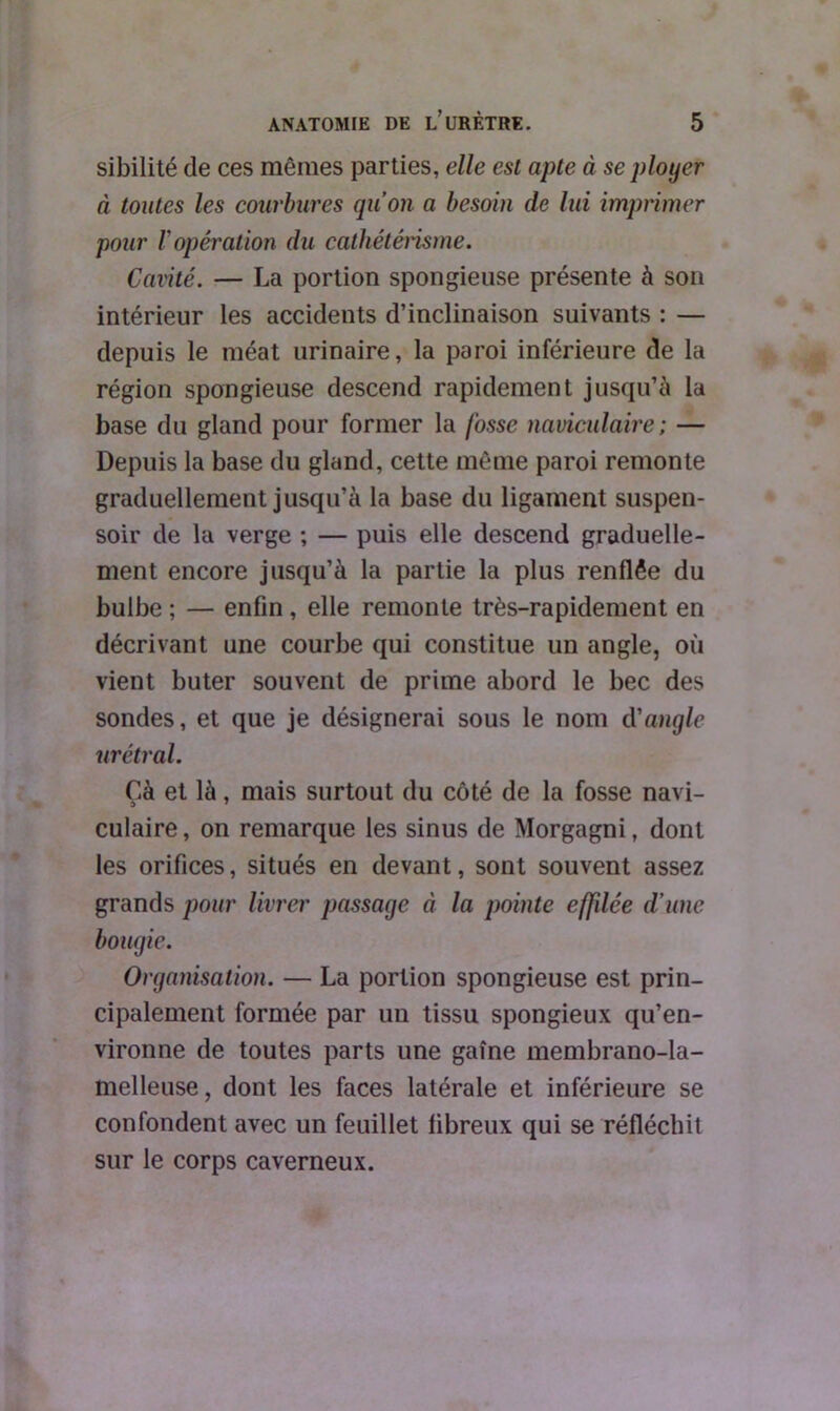 sibilité de ces mêmes parties, elle est apte à se ployer à toutes les courbures qu’on a besoin de lui imprimer pour b opération du cathétérisme. Cavité. — La portion spongieuse présente à son intérieur les accidents d’inclinaison suivants : — depuis le méat urinaire, la paroi inférieure de la région spongieuse descend rapidement jusqu’à la base du gland pour former la fosse naviculaire; — Depuis la base du gland, cette même paroi remonte graduellement jusqu’à la base du ligament suspen- soir de la verge ; — puis elle descend graduelle- ment encore jusqu’à la partie la plus renflée du bulbe ; — enfin , elle remonte très-rapidement en décrivant une courbe qui constitue un angle, où vient buter souvent de prime abord le bec des sondes, et que je désignerai sous le nom d'angle urétral. Çà et là, mais surtout du côté de la fosse navi- culaire, on remarque les sinus de Morgagni, dont les orifices, situés en devant, sont souvent assez grands pour livrer passage à la pointe effilée d’une bougie. Organisation. — La portion spongieuse est prin- cipalement formée par un tissu spongieux qu’en- vironne de toutes parts une gaine membrano-la- melleuse, dont les faces latérale et inférieure se confondent avec un feuillet fibreux qui se réfléchit sur le corps caverneux.