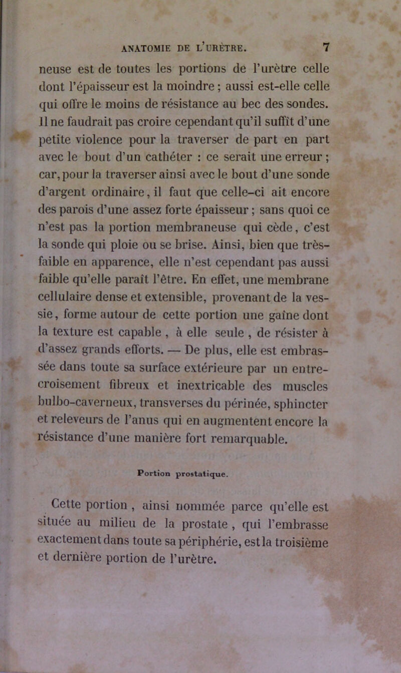 neuse est de toutes les portions de l’urètre celle dont l’épaisseur est la moindre ; aussi est-elle celle qui olïre le moins de résistance au bec des sondes. J1 ne faudrait pas croire cependant qu’il suffit d’une petite violence pour la traverser de part en part avec le bout d’un cathéter : ce serait une erreur ; car, pour la traverser ainsi avec le bout d’une sonde d’argent ordinaire, il faut que celle-ci ait encore des parois d’une assez forte épaisseur ; sans quoi ce n’est pas la portion membraneuse qui cède, c’est la sonde qui ploie ou se brise. Ainsi, bien que très- faible en apparence, elle n’est cependant pas aussi faible qu’elle paraît l’être. En effet, une membrane cellulaire dense et extensible, provenant de la ves- sie, forme autour de cette portion une gaine dont la texture est capable , à elle seule , de résister à d’assez grands efforts. — De plus, elle est embras- sée dans toute sa surface extérieure par un entre- croisement fibreux et inextricable des muscles bulbo-caverneux, transverses du périnée, sphincter et releveurs de l’anus qui en augmentent encore la résistance d’une manière fort remarquable. Portion prostatique. Cette portion , ainsi nommée parce qu’elle est située au milieu de la prostate , qui l’embrasse exactement dans toute sa périphérie, est la troisième et dernière portion de l’urètre.