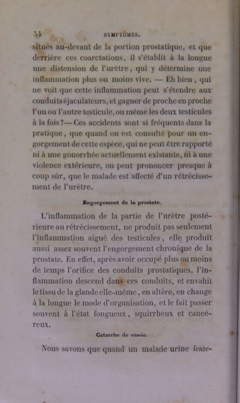 situés au-devant de la portion prostatique* et que derrière ces coarctations, il s’établit à la longue une distension de l'urètre, qui y détermine une inflammation plus ou moins vive. — Kl» bien, qui ne voit que cette inflammation peut s’étendre aux conduits éjaculateurs, et gagner de proche en proche l’un ou l’autre testicule,ou même les deux testicules ù la fois T—(les accidents sont si fréquents dans la prulique, que quand on est consulté pour un en- gorgement de cette espèce, qui ne peut être rapporté ni A une gonorrhée actuellement existante, ni à une violence extérieure, on peut prononcer presque è coup sûr, que le malade est affecté d’un rétrécisse- ment de l’urètre. Ing orgement do la prostate. L*inflammation de la jwrtie de l’urètre posté- rieure au rétrécissement, ne produit pas seulement l’inflammation aiguë des testicules, clic produit aussi assez souvent l’engorgement chronique de la prostate. En effet, après avoir occupé plus ou moins de temps l’orifice des conduits prostatiques, l'in- flammation descend dans ces conduits, et envahit le tissu de la glande elle-même, en altère, en change à la longue le mode d’organisation, et le fait passer souvent è l’état fongueux, squirrheux et cancé- reux. Catarrhe de ve§»ie. Nous savons que quand un malade urine lente-