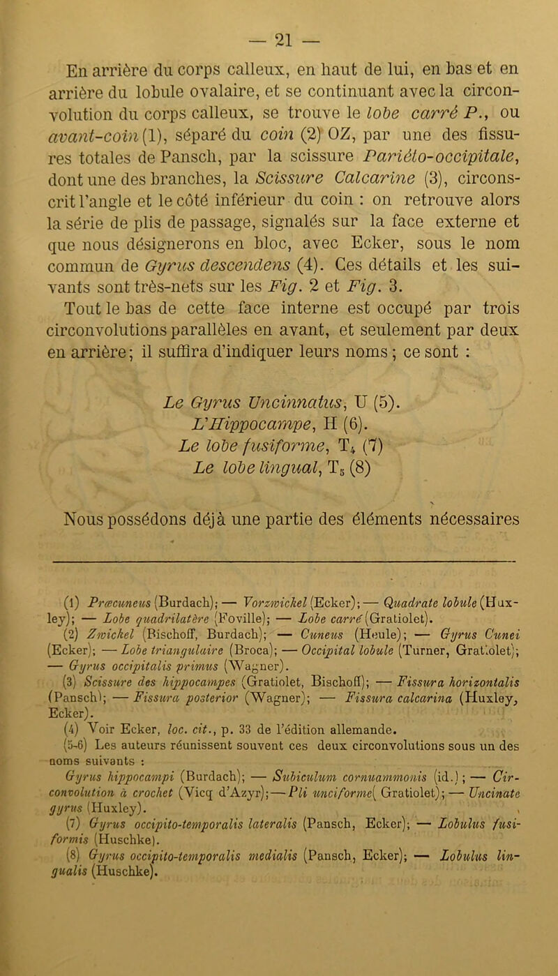 En arrière du corps calleux, en haut de lui, en bas et en arrière du lobule ovalaire, et se continuant avec la circon- volution du corps calleux, se trouve le lobe carré P., ou avant-coin {!), séparé du coin (2) OZ, par une des fissu- res totales de Panscli, par la scissure Pariéto-occipitale, dont une des branches, \di Scissure Calcarine (3), circons- crit l’angle et le coté inférieur du coin : on retrouve alors la série de plis de passage, signalés sur la face externe et que nous désignerons en bloc, avec Ecker, sous le nom commun àe Gijrus descenderis . Ces détails et les sui- vants sont très-nets sur les Fig. 2 et Fig. 3. Tout le bas de cette face interne est occupé par trois circonvolutions parallèles en avant, et seulement par deux en arrière ; il suffira d’indiquer leurs noms ; ce sont : Le Gyrus Uncinnatus, U (5). L'Hippocampe, H (6). Le lobe fusiforme, T4 (7) Le lobe lingual, Tg (8) Nous possédons déjà une partie des éléments nécessaires (1) Prœcimeus (Burdach); — Vorzmickel (Ecker);— Q,uadrate lobule (Hux- ley); — Lobe quadrilatère (Foville); — Lobe car?'^(Gratiolet). (2) Zmickel (Bischoff, Burdach); — Cunetis (Heule); — Gyrus Cunei (Ecker); — Lobe triangulaire (Broca); — OcciFtal lobule (Turner, Grallolet); — Gyrus occipitalis primus (Wagner). (3) Scissure des hippocampes (Gratiolet, BischofI); — Fissura horizontalis (Panschb —Fissura posterior (Wagner); — Fissura calcarina (Huxley, Ecker). (4) Voir Ecker, loc. cit., p. 33 de l’édition allemande. (a'6) Les auteurs réunissent souvent ces deux circonvolutions sous un des noms suivants ; Gyrus hippocampi (Burdach); — Subicvdum cornuammonis (id.) ; — Cir- convolution à crochet (Vicq d’Azyr); — Pli unciforme[ Gratiolet);— Uncinate gyrus (Huxley). , (7) Gyrus occipito-temporalis lateralis (Pansch, Ecker); — Lobulus fusi- formis (Huschke). (8) Gyrus occipito-temporalis medialis (Pansch, Ecker); — Lobulus lin- gualis (Huschke).