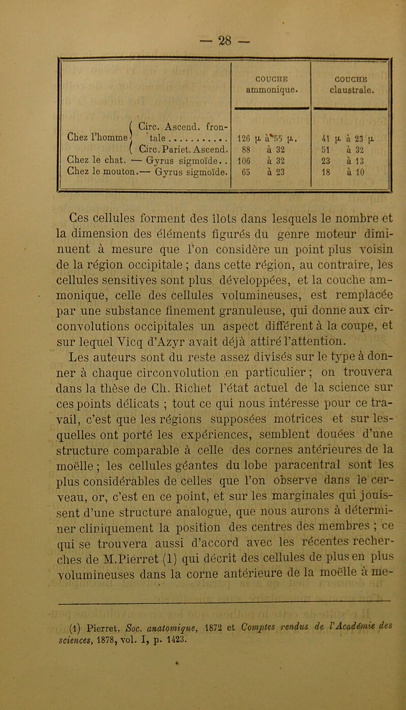 COUCHE COUCHE ammonique. claustrale. f Cire. Ascend. fron- Chez l’homme | ’ taie 120 p. à'OO p.. 41 p. à 23 p. ( Cire. Pariet. Ascend. 88 à 32 51 à 32 Chez le chat. — Gyrus sigmoïde. . 106 à 32 23 à 13 Chez le mouton.— Gyrus sigmoïde. 05 à 23 18 à 10 Ces cellules forment des îlots dans lesquels le nombre et la dimension des éléments figurés du genre moteur dimi- nuent à mesure que l’on considère un point jjIus voisin de la région occipitale ; dans cette région, au contraire, les cellules sensitives sont plus développées, et la couche am- monique, celle des cellules volumineuses, est remplacée par une substance finement granuleuse, qui donne aux cir- convolutions occipitales un aspect difiérent à la coupe, et sur lequel Vicq d’Azyr avait déjà attiré l’attention. Les auteurs sont du reste assez divisés sur le type à don- ner à chaque circonvolution ,en particulier ; on trouvera dans la thèse de Ch. Richet l’état actuel de la science sur ces points délicats ; tout ce qui nous intéresse pour ce tra- vail, c’est que les régions supposées motrices et sur les- quelles ont porté les expériences, semblent douées d’une structure comparable à celle des cornes antérieures de la moelle ; les cellules géantes du lobe paracentral sont les plus considérables de celles que l’on observe dans le' cer- veau, or, c’est en ce point, et sur les marginales qui jouis- sent d’une structure analogue, que nous aurons à détermi- ner cliniquement la position des centres des membres ; ce qui se trouvera aussi d’accord avec les récentes recher- ches de M.Pierret (1) qui décrit des cellules de plus en plus volumineuses dans la corne antérieure de la moelle a me- (l) Pierret. Soc. anatomique, 1872 et Comptes rendus de VAcadémie des sciences, 1878, vol. I, p. 1423.