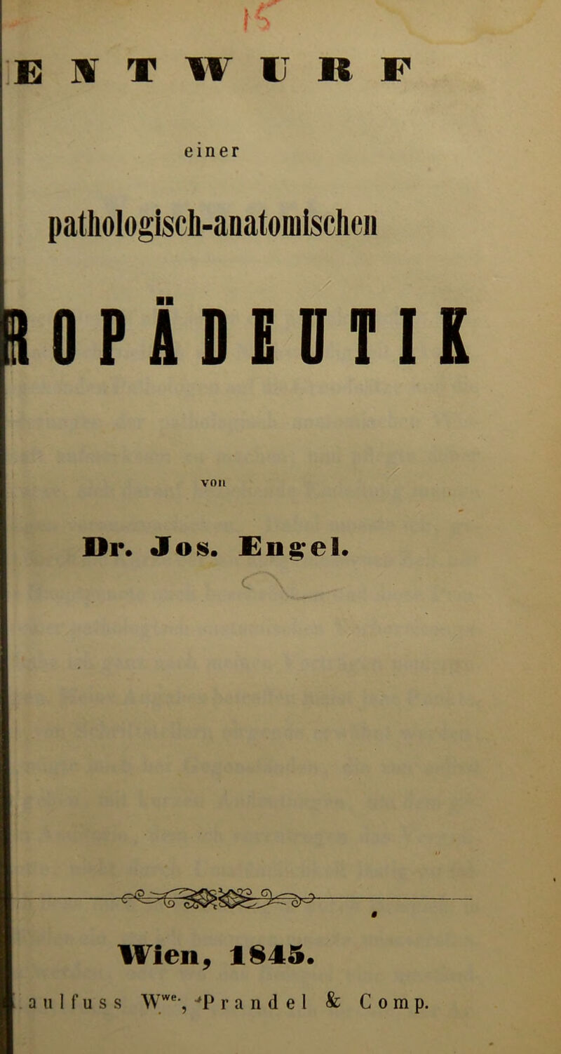 (C EIT W U R P einer pathologisch-anatomischen SOPÄDEUTIK VOM Dr. Jos. Engel. <r~\ § Wien, 1845. a u 1 f u s s Ww% JP r a n d e 1 & Comp.