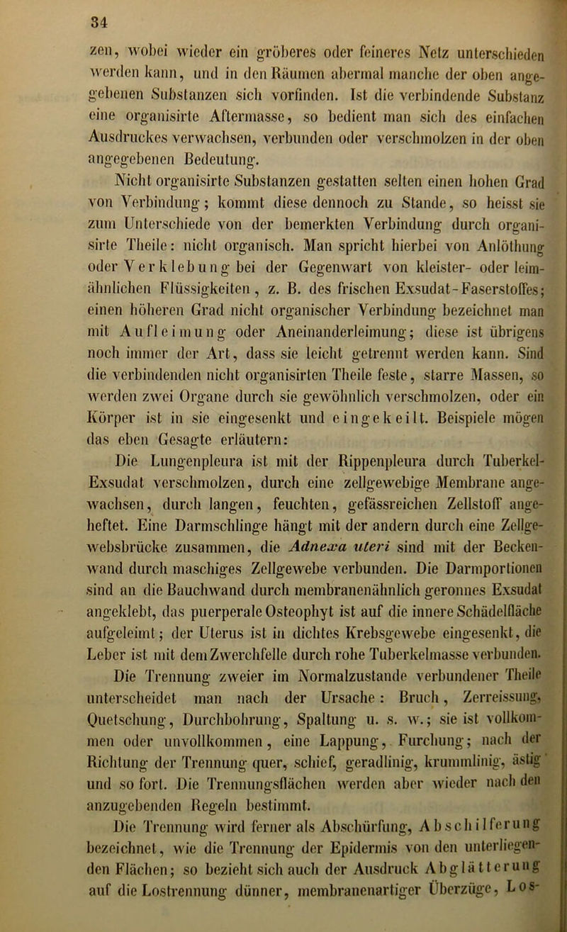 zen, wobei wieder ein gröberes oder feineres Netz unterschieden werden kann, und in den Räumen abermal manche der oben ange- gebenen Substanzen sich vorfinden. Ist die verbindende Substanz eine organisirle Aftermasse, so bedient man sich des einfachen Ausdruckes verwachsen, verbunden oder verschmolzen in der oben angegebenen Bedeutung. Nicht organisirle Substanzen gestatten selten einen hohen Grad von Verbindung; kommt diese dennoch zu Stande, so heisst sie zum Unterschiede von der bemerkten Verbindung durch organi- sirte Theile: nicht organisch. Man spricht hierbei von Anlöthung oder Verklebung bei der Gegenwart von kleister- oder leim- älmlichen Flüssigkeiten, z. B. des frischen Exsudat-Faserstoffes; einen höheren Grad nicht organischer Verbindung bezeichnet man mit Aufleimung oder Aneinanderleimung; diese ist übrigens noch immer der Art, dass sie leicht getrennt werden kann. Sind die verbindenden nicht organisirten Theile feste, starre Massen, so werden zwei Organe durch sie gewöhnlich verschmolzen, oder ein Körper ist in sie eingesenkt und eingekeilt. Beispiele mögen das eben Gesagte erläutern: Die Lungenpleura ist mit der Rippenpleura durch Tuberkel- Exsudat verschmolzen, durch eine zellgewebige Membrane ange- wachsen, durch langen, feuchten, gefässreichen Zellstoff ange- heftet. Eine Darmschlinge hängt mit der andern durch eine Zellge- websbrücke zusammen, die Adnexa uleri sind mit der Becken- wand durch maschiges Zellgewebe verbunden. Die Darmportionen sind an die Bauchwand durch membranenähnlich geronnes Exsudat angeklebt, das puerperale Osteophyt ist auf die innere Schädelfläche aufgcleiinl; der Uterus ist in dichtes Krebsgewebe eingesenkt, die Leber ist mit dem Zwerchfelle durch rohe Tuberkelmasse verbunden. Die Trennung zweier im Normalzustände verbundener Theile unterscheidet man nach der Ursache: Bruch, Zerreissung, * Quetschung, Durchbohrung, Spaltung u. s. w.; sie ist vollkom- men oder unvollkommen, eine Lappung, Furchung; nach der Richtung der Trennung quer, schief, geradlinig, krummlinig, ästig und so fort. Die Trennungsflächen werden aber wieder nach den anzugebenden Regeln bestimmt. Die Trennung wird ferner als Abschürfung, Abschilferung bezeichnet, wie die Trennung der Epidermis von den unterliegen- den Flächen; so bezieht sich auch der Ausdruck Abglätterung auf die Lostrennung dünner, inembranenartiger Überzüge, Los-