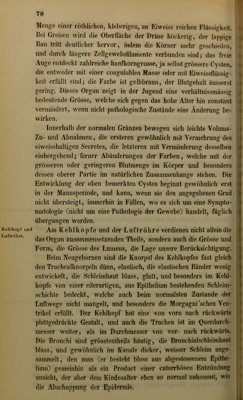 Kehlkopf und Luftröhre. 70 Menge einer röthlichen, kleberigen, an Eiweiss reichen Flüssigkeit. Bei Greisen wird die Oberfläche der Drüse höckerig, der lappige Bau tritt deutlicher hervor, indem die Körner mehr geschieden, und durch längere Zellgewebsfilamente verbunden sind; das freie Auge entdeckt zahlreiche hanfkorngrosse, ja selbst grössere Cysten, die entweder mit einer coagulablen Masse oder mit Eiweissflüssig- keit erfüllt sind; die Farbe ist gelbbraun, der Blutgehalt äusserst gering. Dieses Organ zeigt in der Jugend eine verhältnissmässig bedeutende Grösse, welche sich gegen das hohe Alter hin constant vermindert, wenn nicht pathologische Zustände eine Änderung be- wirken. Innerhalb der normalen Gränzen bewegen sich leichte Volums- Zu- und Abnahmen, die ersteren gewöhnlich mit Vermehrung des eiweisshaltigen Secretes, die letzteren mit Verminderung desselben einhergehend; ferner Abänderungen der Farben, welche mit der grösseren oder geringeren Blutmenge im Körper und besonders dessen oberer Partie im natürlichen Zusammenhänge stehen. Die Entwicklung der oben bemerkten Cysten beginnt gewöhnlich erst in der Mannsperiode, und kann, wenn sie den angegebenen Grad nicht übersteigt, immerhin in Fällen, wo es sich um eine Sympto- matologie (nicht um eine Pathologie der Gewebe) handelt, füglich übergangen werden. Am Kehlkopfe und der Luftröhre verdienen nicht allein die das Organ zusammensetzenden Theile, sondern auch die Grösse und Form, die Grösse des Lumens, die Lage unsere Berücksichtigung. Beim Neugebornen sind die Knorpel des Kehlkopfes fast gleich den Trachealknorpeln dünn, elastisch, die elastischen Bänder wenig entwickelt, die Schleimhaut blass, glatt, und besonders im Kehl- kopfe von einer eiterartigen, aus Epithelium bestehenden Schleim- schichte bedeckt, welche auch beim normalsten Zustande der Luftwege nicht mangelt, und besonders die Morgagni sehen Ven- trikel erfüllt. Der Kehlkopf hat eine von vorn nach rückwärts plattgedrückte Gestalt, und auch die Trachea ist im (hierdurch- inesser weiter, als im Durchmesser von vor- nach rückwärts. Die Bronchi sind grösstentheils häutig, die Bronchialschleimhaut blass, und gewöhnlich im Kanäle dicker, weisser Schleim ange- sammelt, den man (er besteht bloss aus abgestossenem Epithe- lium) gemeinhin als ein Product einer catarrhösen Entzündung ansieht, der aber dem Kindesalter eben so normal zukommf, wie & 3i i t 4 •fl . f1 i