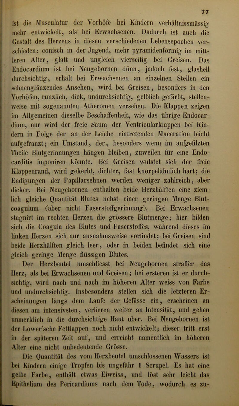ist die Musculatur der Vorhöfe bei Kindern verhältnissmässig mehr entwickelt, als bei Erwachsenen. Dadurch ist auch die Gestalt des Herzens in diesen verschiedenen Lebensepochen ver- schieden: conisch in der Jugend, mehr pyramidenförmig im mitt- leren Alter, glatt und ungleich vierseitig bei Greisen. Das Endocardium ist bei Neugebornen dünn, jedoch fest, glashell durchsichtig, erhält bei Erwachsenen an einzelnen Stellen ein sehnenglänzendes Ansehen, wird bei Greisen, besonders in den Vorhöfen, runzlich, dick, undurchsichtig, gelblich gefärbt, stellen- weise mit sogenannten Atheromen versehen. Die Klappen zeigen im Allgemeinen dieselbe Beschaffenheit, wie das übrige Endocar- dium, nur wird der freie Saum der Ventricularklappen bei Kin- dern in Folge der an der Leiche eintretenden Maceration leicht aufgefranzt; ein Umstand, der, besonders wenn im aufgefilzten Theile Blutgerinnungen hängen bleiben, zuweilen für eine Endo- carditis imponiren könnte. Bei Greisen wulstet sich der freie Klappenrand, wird gekerbt, dichter, fast knorpelähnlich hart; die Endigungen der Papillarsehnen werden weniger zahlreich, aber dicker. Bei Neugebornen enthalten beide Herzhälften eine ziem- lich gleiche Quantität Blutes nebst einer geringen Menge Blut- coagulum (aber nicht Faserstoffgerinnung). Bei Erwachsenen stagnirt im rechten Herzen die grössere Blutmenge; hier bilden sich die Coagula des Blutes und Faserstoffes, während dieses im linken Herzen sich nur ausnahmsweise vorfmdet; bei Greisen sind beide Herzhälften gleich leer, oder in beiden befindet sich eine gleich geringe Menge flüssigen Blutes. Der Herzbeutel umschliesst bei Neugebornen straffer das Herz, als bei Erwachsenen und Greisen; bei ersteren ist er durch- sichtig, wird nach und nach im höheren Alter weiss von Farbe und undurchsichtig. Insbesonders stellen sich die letzteren Er- scheinungen längs dem Laufe der Gefässe ein, erscheinen an diesen am intensivsten, verlieren weiter an Intensität, und gehen unmerklich in die durchsichtige Haut über. Bei Neugebornen ist der Lower’sche Fettlappen noch nicht entwickelt; dieser tritt erst in der späteren Zeit auf, und erreicht namentlich im höheren Alter eine nicht unbedeutende Grösse. Die Quantität des vom Herzbeutel umschlossenen Wassers ist bei Kindern einige Tropfen bis ungefähr 1 Scrupel. Es hat eine gelbe Farbe, enthält etwas Eiweiss, und löst sehr leicht das Epithelium des Pericardiuins nach dem Tode, wodurch es zu-