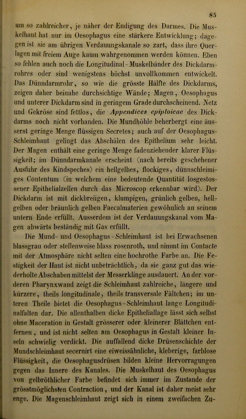 um so zahlreicher, je näher der Endigung des Darmes. Die Mus- kelhaut hat nur im Oesophagus eine stärkere Entwicklung; dage- gen ist sie am übrigen Verdauungskanale so zart, dass ihre Quer- lagen mit freiem Auge kaum wahrgenommen werden können. Eben so fehlen auch noch die Longitudinal-Muskelbänder des Dickdarm- rohres oder sind wenigstens höchst unvollkommen entwickelt. Das Dünndarmrohr, so wie die grösste Hälfte des Dickdarms, zeigen daher beinahe durchsichtige Wände; Magen, Oesophagus und unterer Dickdarm sind in geringem Grade durchscheinend. Netz und Gekröse sind fettlos, die Appendices epiploicae des Dick- darms noch nicht vorhanden. Die Mundhöhle beherbergt eine äus- serst geringe Menge flüssigen Secretes; auch auf der Oesophagus- Schleimhaut gelingt das Abschälen des Epithelium sehr leicht. Der Magen enthält eine geringe Menge fadenziehender klarer Flüs- sigkeit; im Dünndannkanale erscheint (nach bereits geschehener Ausfuhr des Kindspeches) ein hellgelbes, flockiges, dünnschleimi- ges Contentum (in welchem eine bedeutende Quantität losgestos- sener Epithelialzellen durch das Microscop erkennbar wird). Der Dickdarm ist mit dickbreiigen, klumpigen, grünlich gelben, hell- gelben oder bräunlich gelben Faecalmaterien gewöhnlich an seinem untern Ende erfüllt. Ausserdem ist der Verdauungskanal vom Ma- gen abwärts beständig mit Gas erfüllt. Die Mund- und Oesophagus - Schleimhaut ist bei Erwachsenen blassgrau oder stellenweise blass rosenroth, und nimmt im Contacte mit der Atmosphäre nicht selten eine hochrothe Farbe an. Die Fe- stigkeit der Haut ist nicht unbeträchtlich, da sie ganz gut das wie- derholte Abschaben mittelst der Messerklinge ausdauert. An der vor- deren Pharynxwand zeigt die Schleimhaut zahlreiche, längere und kürzere, theils longitudinale, theils transversale Fältchen; im un- teren Theile bietet die Oesophagus-Schleimhaut lange Longitudi- nalfalten dar. Die allenthalben dicke Epitheliallage lässt sich selbst ohne Maceration in Gestalt grösserer oder kleinerer Blättchen ent- fernen , und ist nicht selten am Oesophagus in Gestalt kleiner In- seln schwielig verdickt. Die auffallend dicke Drüsenschichte der Mundschleimhaut secernirt eine eiweissähnliche, klcberige, farblose Flüssigkeit, die Oesophagusdriisen bilden kleine Hervorragungen gegen das Innere des Kanales. Die Muskelhaut des Oesophagus von gclbröthlicher Farbe befindet sich immer im Zustande der grösstmöglichsten Contraction, und der Kanal ist daher meist sein- enge. Die Magenschleimhaut zeigt sich in einem zweifachen Zu-