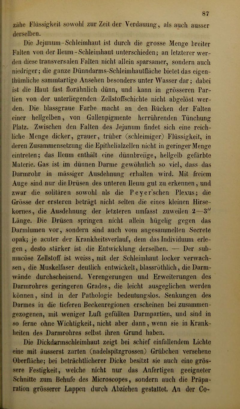 zähe Flüssigkeit sowohl zur Zeit der Verdauung, als auch ausser derselben. Die Jejunum-Schleimhaut ist durch die grosse Menge breiter Falten von der Ileum - Schleimhaut unterschieden; an letzterer wer- den diese transversalen Falten nicht allein sparsamer, sondern auch niedriger; die ganze Diinndarms-Schleimhautfläche bietet das eigen- thümliche sammtartige Ansehen besonders unter Wasser dar; dabei ist die Haut fast florähnlich dünn, und kann in grösseren Par- tien von der unterliegenden Zellstoflschichte nicht abgelöst wer- den. Die blassgraue Farbe macht an den Rücken der Falten einer hellgelben, von Gallenpigmente herrührenden Tünchung Platz. Zwischen den Falten des Jejunum findet sich eine reich- liche Menge dicker, grauer, trüber (schleimiger) Flüssigkeit, in deren Zusammensetzung die Epithelialzellen nicht in geringer Menge einlrelen; das Ileum enthält eine dünnbreiige, hellgelb gefärbte Materie. Gas ist im dünnen Darme gewöhnlich so viel, dass das Darmrohr in massiger Ausdehnung erhalten wird. Mit freiem Auge sind nur die Drüsen des unteren Ileum gut zu erkennen, und zwar die solitären sowohl als die Peyersehen Plexus; die Grösse der ersteren beträgt nicht selten die eines kleinen Hirse- kornes, die Ausdehnung der letzteren umfasst zuweilen 2—3 Länge. Die Drüsen springen nicht allein hügelig gegen das Darmlumen vor, sondern sind auch vom angesammelten Secrete opak; je acuter der Krankheitsverlauf, dem das Individuum erle- gen , desto stärker ist die Entwicklung derselben. — Der sub- mucöse Zellstoff ist weiss, mit der Schleimhaut locker verwach- sen, die Muskelfaser deutlich entwickelt, blassröthlich, die Darm- wände durchscheinend. Verengerungen und Erweiterungen des Darmrohres geringeren Grades, die leicht ausgeglichen werden können, sind in der Pathologie bedeutungslos. Senkungen des Darmes in die tieferen Beckenregionen erscheinen bei zusammen- gezogenen, mit weniger Luft gefüllten Darmpartien, und sind in so ferne ohne Wichtigkeit, nicht aber dann, wenn sie in Krank- heiten des Darmrohres selbst ihren Grund haben. Die Dickdarmschleimhaut zeigt bei schief einfallendem Lichte eine mit äusserst zarten (nadelspitzgrossen) Grübchen versehene Oberfläche; bei beträchtlicherer Dicke besitzt sie auch eine grös- sere Festigkeit, welche nicht nur das Anfertigen geeigneter Schnitte zum Behufe des Microscopes, sondern auch die Präpa- ration grösserer Lappen durch Abziehen gestattet, An der Co-