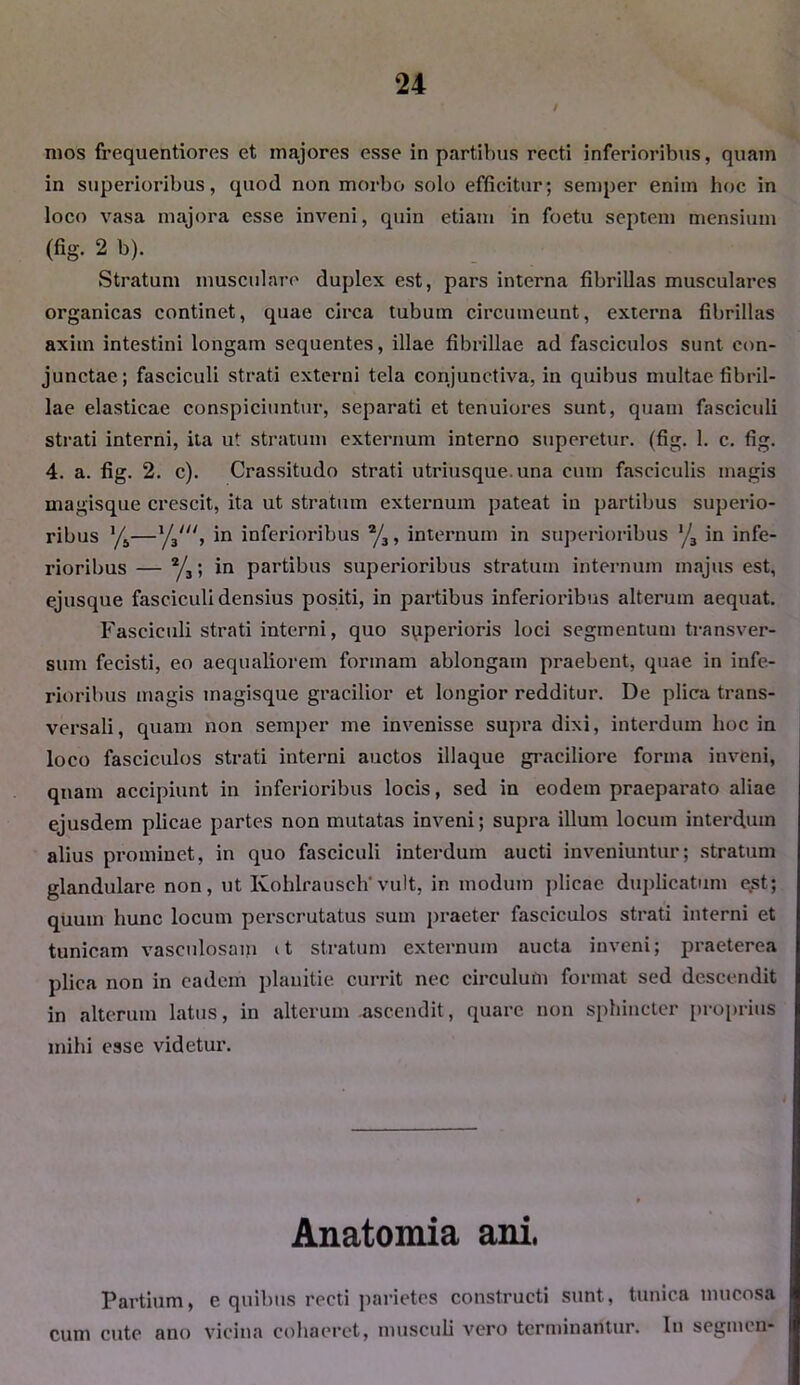 / mos frequentiores et majores esse in partibus recti inferioribus, quam in superioribus, quod non morbo solo efficitur; semper enim hoc in loco vasa majora esse inveni, quin etiam in foetu septem mensium (fig. 2 b). Stratum musculare duplex est, pars interna fibrillas musculares organicas continet, quae circa tubum circumeunt, externa fibrillas axim intestini longam sequentes, illae fibrillae ad fasciculos sunt con- junctae; fasciculi strati externi tela conjunctiva, in quibus multae fibril- lae elasticae conspiciuntur, separati et tenuiores sunt, quam fascicidi strati interni, ita ut stratum externum interno superetur, (fig. 1. c. fig. 4. a. fig. 2. c). Crassitudo strati utriusque. una cum fasciculis magis magisque crescit, ita ut stratum externum pateat in partibus superio- ribus ’/s—l/3lu, in inferioribus */3, internum in superioribus l/3 in infe- rioribus — 2/3; in partibus superioribus stratum internum majus est, ejusque fasciculi densius positi, in partibus inferioribus alterum aequat. Fasciculi strati interni, quo spperioris loci segmentum transver- sum fecisti, eo aequaliorem formam ablongain praebent, quae in infe- rioribus magis magisque gracilior et longior redditur. De plica trans- versali, quam non semper me invenisse supra dixi, interdum hoc in loco fasciculos strati interni auctos illaque graciliore forma inveni, quam accipiunt in inferioribus locis, sed in eodem praeparato aliae ejusdem plicae partes non mutatas inveni; supra illum locum interdum alius prominet, in quo fasciculi interdum aucti inveniuntur; stratum glandulare non, ut Ivohlrausch'vult, in modum plicae duplicatum est; quum hunc locum perscrutatus sum praeter fasciculos strati interni et tunicam vasculosam it stratum externum aucta inveni; praeterea plica non in eadem planitie currit nec circulum format sed descendit in alterum latus, in alterum ascendit, quare non sphincter proprius mihi esse videtur. Anatomia ani, Partium, e quibus recti parietes constructi sunt, tunica mucosa cum cute ano vicina cohaeret, musculi vero terminantur. Iu segmen-