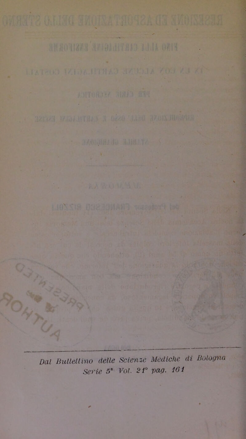 Dal BulleLlino delle Scienze Mediche di Bologna Serie 5' Voi. 2i° pag. i61