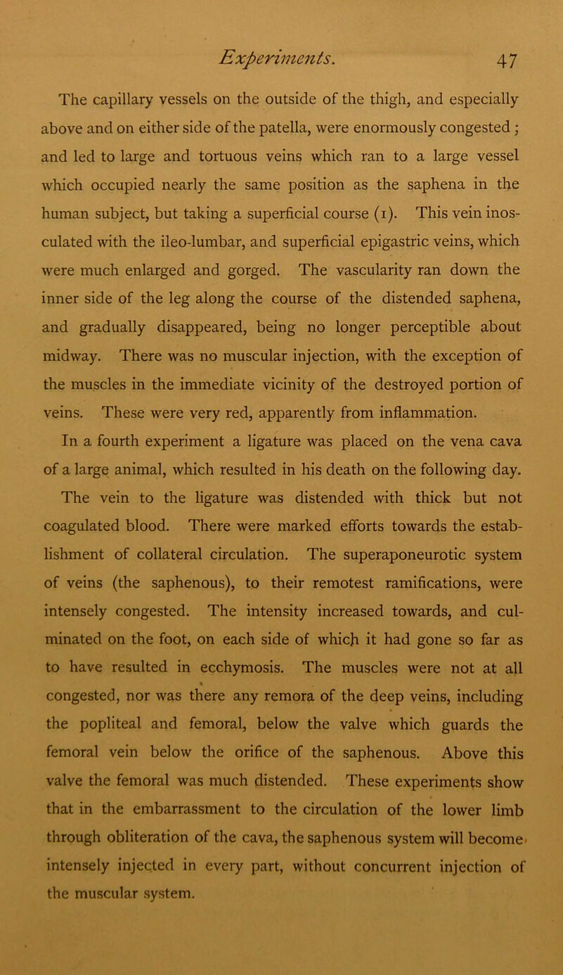 The capillary vessels on the outside of the thigh, and especially above and on either side of the patella, were enormously congested; and led to large and tortuous veins which ran to a large vessel which occupied nearly the same position as the saphena in the human subject, but taking a superficial course (1). This vein inos- culated with the ileo-lumbar, and superficial epigastric veins, which were much enlarged and gorged. The vascularity ran down the inner side of the leg along the course of the distended saphena, and gradually disappeared, being no longer perceptible about midway. There was no muscular injection, with the exception of the muscles in the immediate vicinity of the destroyed portion of veins. These were very red, apparently from inflammation. In a fourth experiment a ligature was placed on the vena cava of a large animal, which resulted in his death on the following day. The vein to the ligature was distended with thick but not coagulated blood. There were marked efforts towards the estab- lishment of collateral circulation. The superaponeurotic system of veins (the saphenous), to their remotest ramifications, were intensely congested. The intensity increased towards, and cul- minated on the foot, on each side of which it had gone so far as to have resulted in ecchymosis. The muscles were not at all « congested, nor was there any remora of the deep veins, including the popliteal and femoral, below the valve which guards the femoral vein below the orifice of the saphenous. Above this valve the femoral was much distended. These experiments show that in the embarrassment to the circulation of the lower limb through obliteration of the cava, the saphenous system will become intensely injected in every part, without concurrent injection of the muscular system.