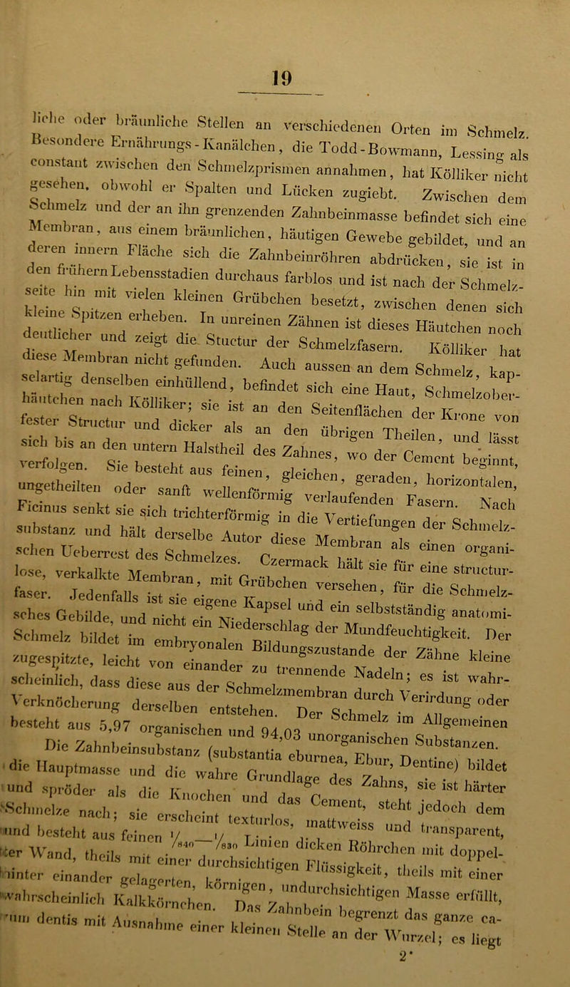 Hol.e „der bräunliche Stellen an verschiedenen Orten in, Schmelz Besondere trnalmings- Kanälchen, die Todd - Bowmann, Lessine ak eonstaut zwischen den Schmelzprismen annalimen, hat Kölliker nicht ST T °T?hl * Spalten und Lfick“ zuglebt Zwischen dem Schmelz und der an ihn grenzenden Zahnbeinmasse befindet sich eine Umbran, aus einem bräunlichen, häutigen Gewebe gebildet und an deren mnern Fläche sich die Zahnbein,,ihren abdrücken, sie i^.  n frühem Lebensstadien durchaus farblos und ist nach der Schmelz- seite hin „nt vielen kleinen Grübchen besetzt, zwischen denen sich kleine Spitzen erheben. In unreinen Zähnen ist dieses Häutchen noch eu ic ier un zeigt die Stuctur der Schmelzfasern. Kölliker hat d, se Membran nicht gefunden. Auch aussen an dem Schmelz 'V sclartig denselben einhüllend, befindet sich eine Haut, Schmelzober n tchen nach Kölhker; sie ist an den Seitenflächen der Krone ™n zzri=Ssir iz Hfr :?r ungeteilten oder sanft wrlW ’ Seraden, horizontalen, p- San11 v' ellenfornug verlaufenden Fasern Naeh 5=. - tÄsrsrsrr f ““ faser. Jedenfalls is, ie ™rs<ihen> för die SchmelZ- sches Gebilde und nicht T“ ^Vapsd und e“ selbstständig anatomi- Schmelz bildet im fi'ld ? der “Ud« ^ zugespitzte, leicht von einander zu tmimende'N^r ^ Heine scheinlich, dass diese aus der c; l Nadeln; es ist wahr- Verknöcbcrnng derselben — Diea^h5f7 Tischcn ,md 94’os <Hc Hauptmasse Deütine, ^ und spröder als die rc i i , ö Zahns, sie ist härter ‘•Schmelze nach; sie tnd ^ dem aS„dhltheü kiTV‘m~'U LW“ <“<*« ««-Chen mi,T^ hinter ein’ander ‘^ils mit einer ‘wahrscheinlich l^lkk ^eZ**“ ^ • —- ^ äääähv; 2*