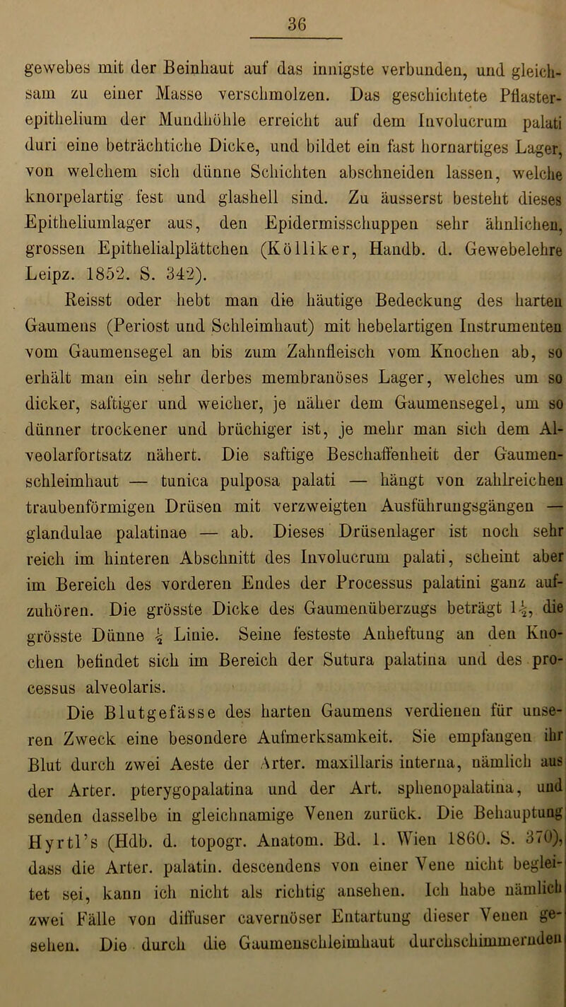 gewebes mit der Beinhaut auf das innigste verbunden, und gleich- sam zu einer Masse verschmolzen. Das geschichtete Pfiaster- epithelium der Mundhöhle erreicht auf dem Involucruin palati duri eine beträchtiche Dicke, und bildet ein fast hornartiges Lager, von welchem sich dünne Schichten abschneiden lassen, welche knorpelartig fest und glashell sind. Zu äusserst besteht dieses Epitheliumlager aus, den Epidermisschuppen sehr ähnlichen, grossen Epithelialplättchen (Kölliker, Handb. d. Gewebelehre Leipz. 1852. S. 342). Reisst oder hebt man die häutige Bedeckung des harten Gaumens (Periost und Schleimhaut) mit hebelartigen Instrumenten vom Gaumensegel an bis zum Zahnfleisch vom Knochen ab, so erhält man ein sehr derbes membranöses Lager, welches um so dicker, saftiger und weicher, je näher dem Gaumensegel, um so dünner trockener und brüchiger ist, je mehr man sich dem Al- veolarfortsatz nähert. Die saftige Beschaffenheit der Gaumen- schleimhaut — tunica pulposa palati — hängt von zahlreichen traubenförmigen Drüsen mit verzweigten Ausführungsgängen — glandulae palatinae — ab. Dieses Drüsenlager ist noch sehr reich im hinteren Abschnitt des Involucrum palati, scheint aber im Bereich des vorderen Endes der Processus palatini ganz auf- zuhören. Die grösste Dicke des Gaumenüberzugs beträgt 14, die grösste Dünne 4 Linie. Seine festeste Anheftung an den Kno- chen befindet sich im Bereich der Sutura palatina und des pro- cessus alveolaris. Die Blutgefässe des harten Gaumens verdienen für unse- ren Zweck eine besondere Aufmerksamkeit. Sie empfangen ihr Blut durch zwei Aeste der Arter. maxillaris interna, nämlich aus der Arter. pterygopalatina und der Art. sphenopalatina, und senden dasselbe in gleichnamige Venen zurück. Die Behauptung Hyrtl’s (Hdb. d. topogr. Anatom. Bd. 1. Wien 1860. S. 370), dass die Arter. palatin. desceudens von einer Vene nicht beglei- tet sei, kann ich nicht als richtig ansehen. Ich habe nämlichj zwei Fälle von diffuser cavernöser Entartung dieser Venen ge-j sehen. Die durch die Gaumenschleimhaut durchschimmernden 1